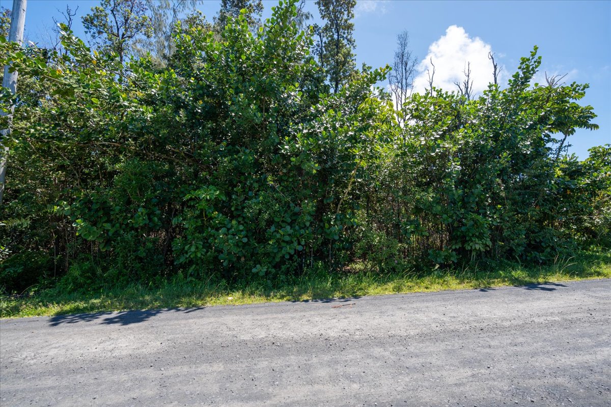 Amau Rd Property Photo 11