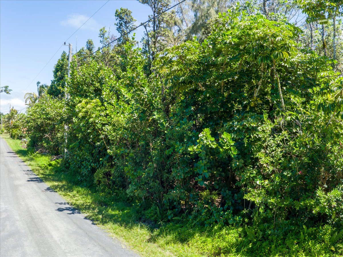 Amau Rd Property Photo 13