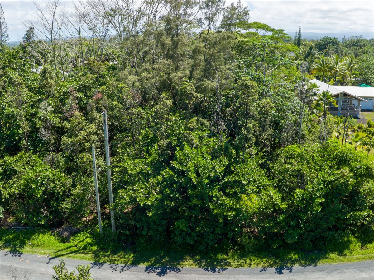 Amau Rd Property Photo 15