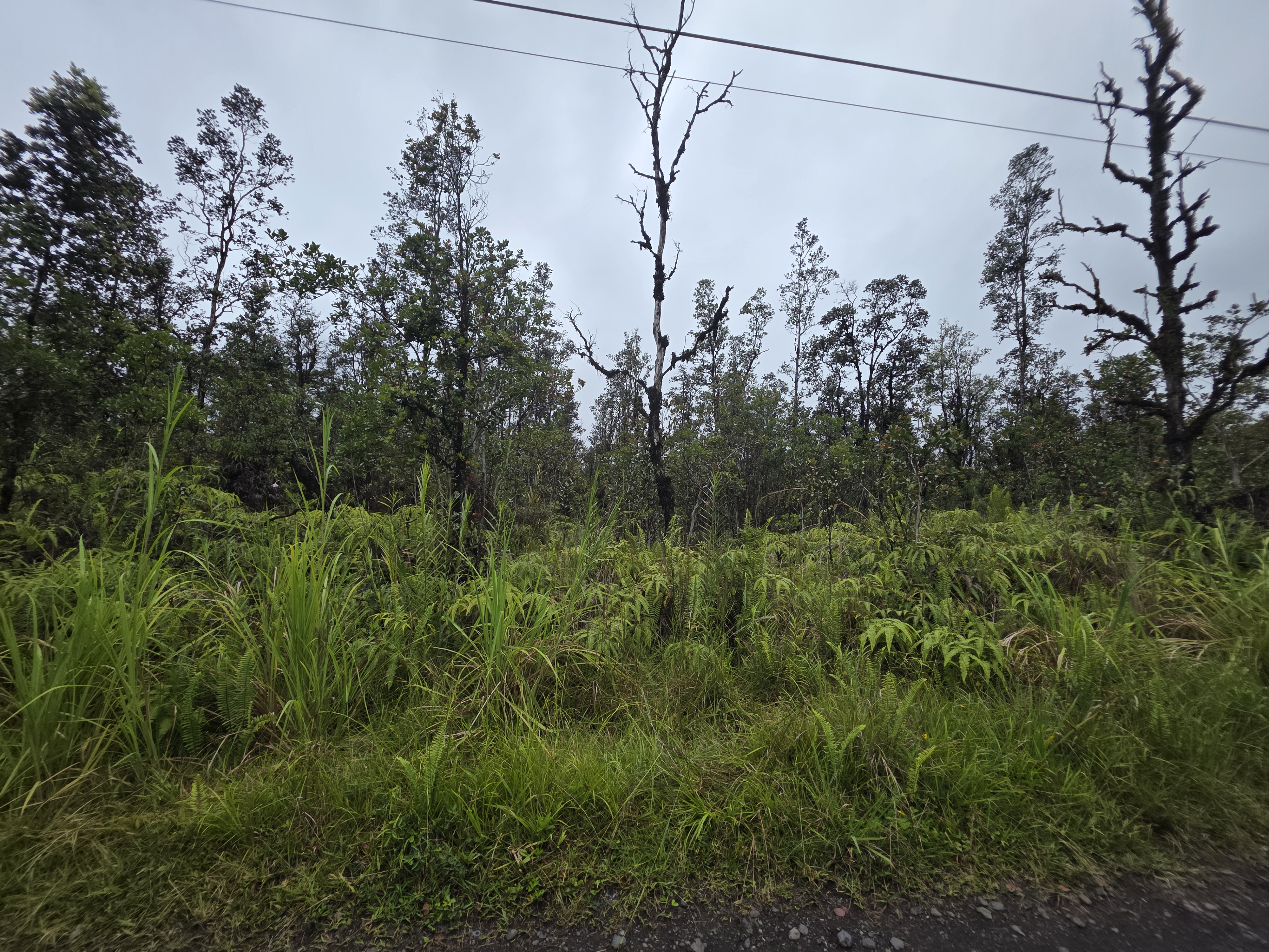 Hopue Rd Property Photo 2
