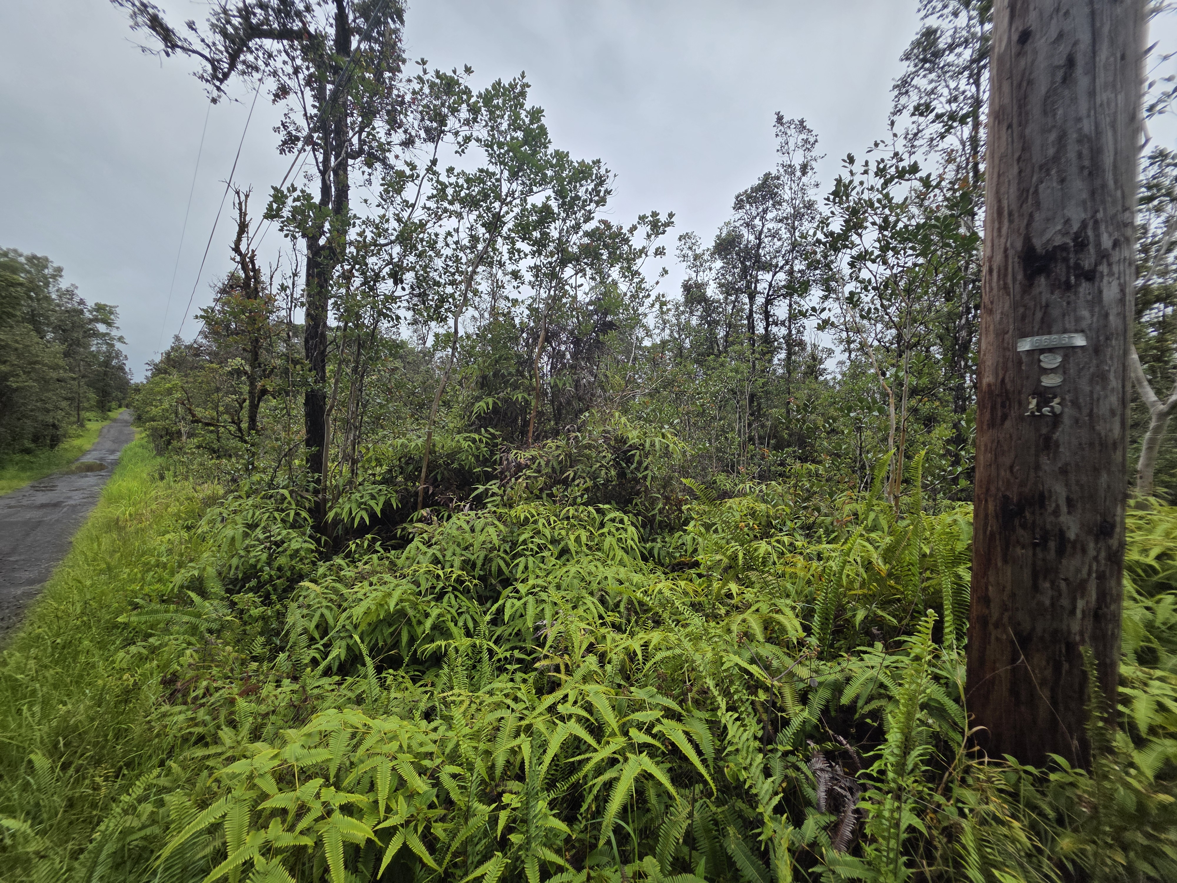 Hopue Rd Property Photo 6