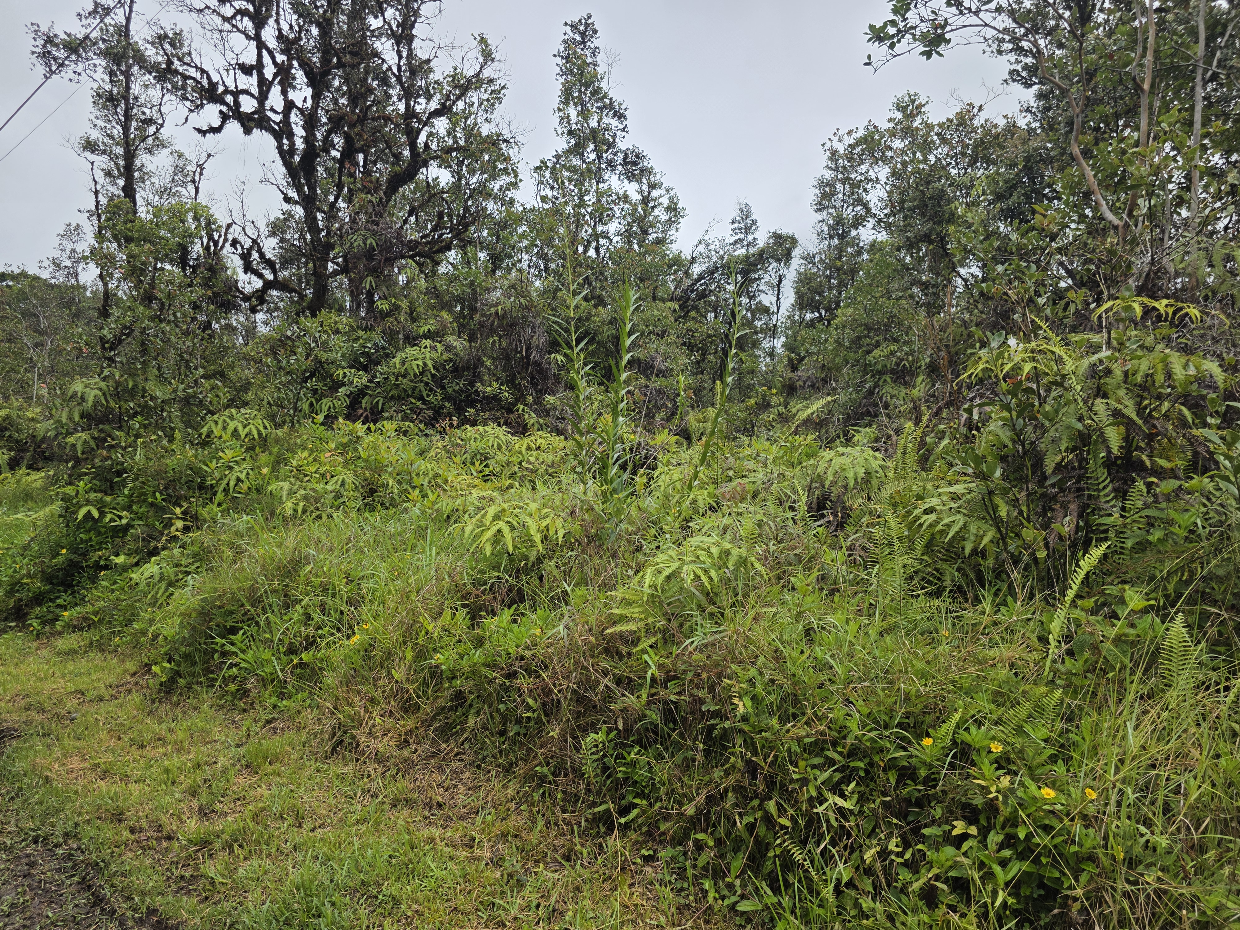 Hopue Rd Property Photo 7