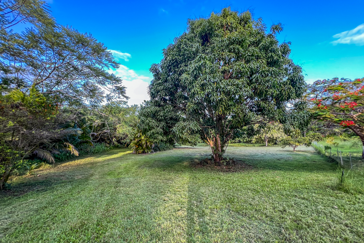 13-128 Nalu Pl Property Photo 7