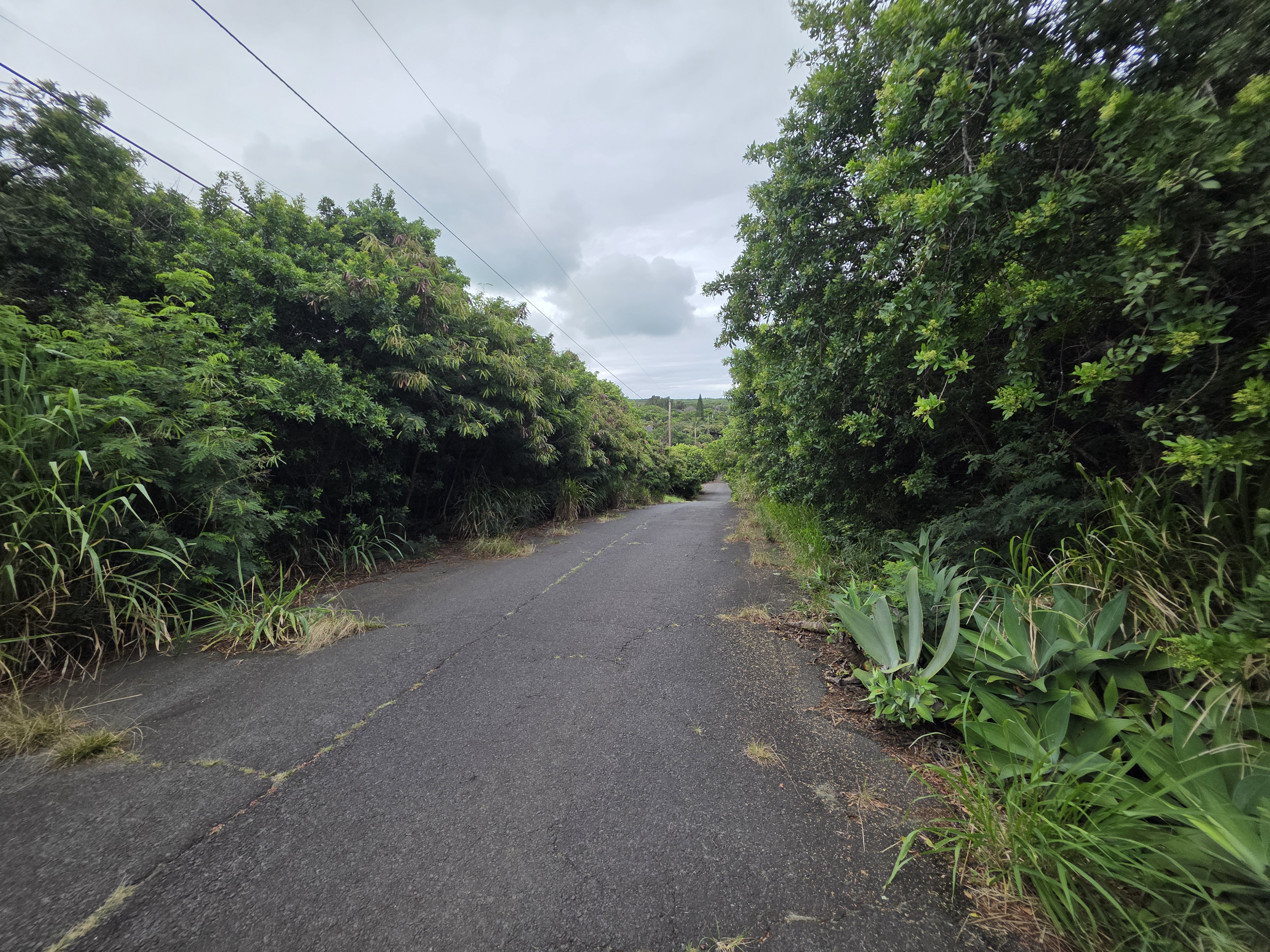 MAUKA ST