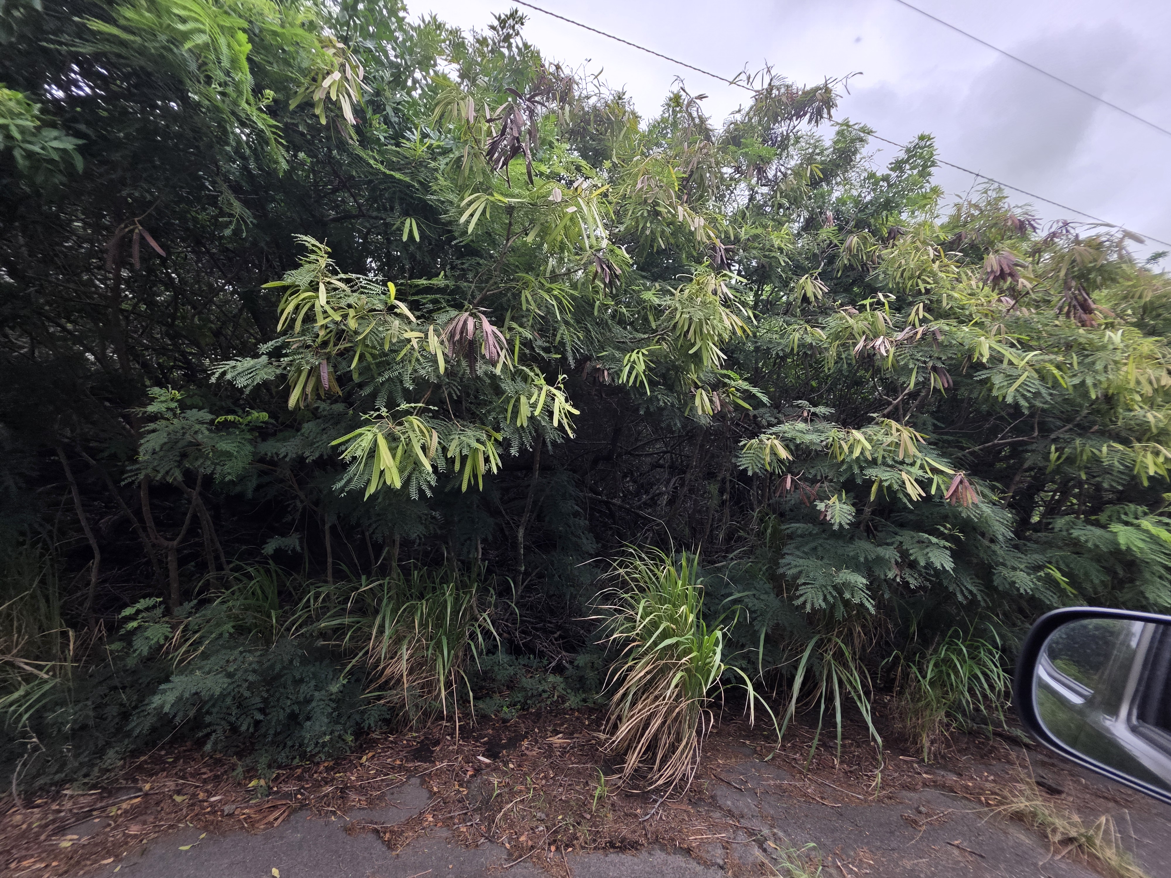 Mauka St Property Photo 2