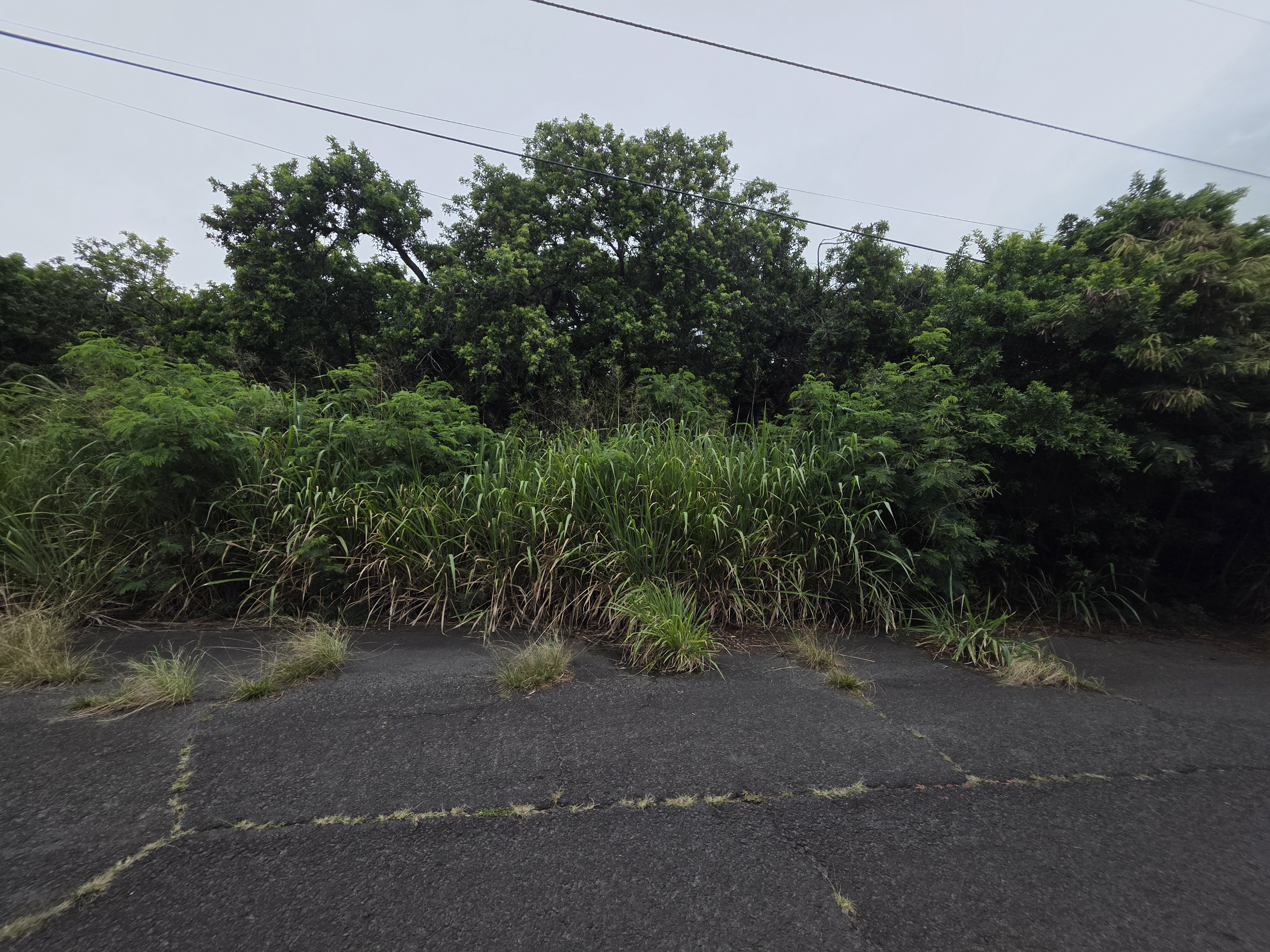 Mauka St Property Photo 4