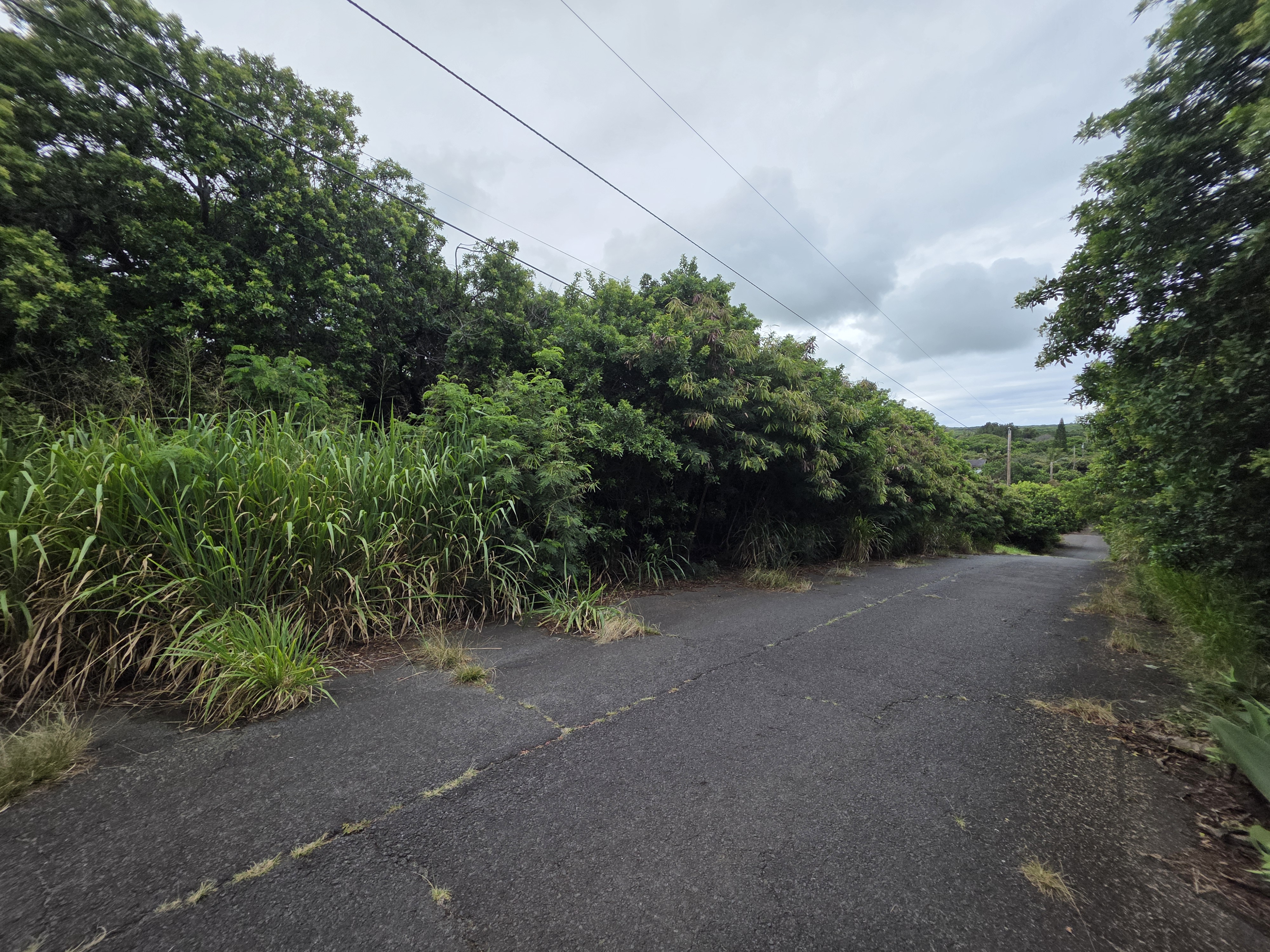 Mauka St Property Photo 5