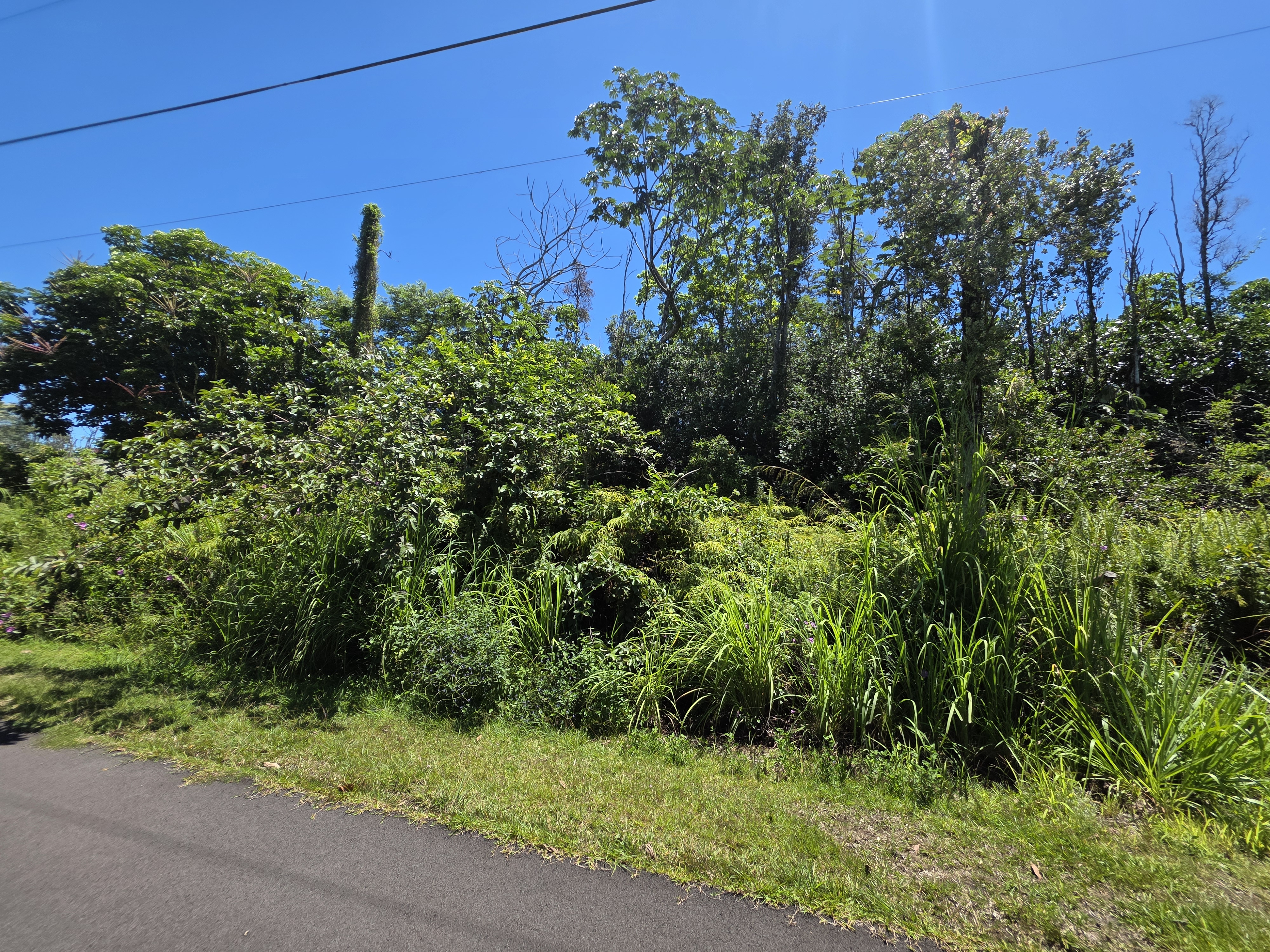 KUMU ST Property Photo 1
