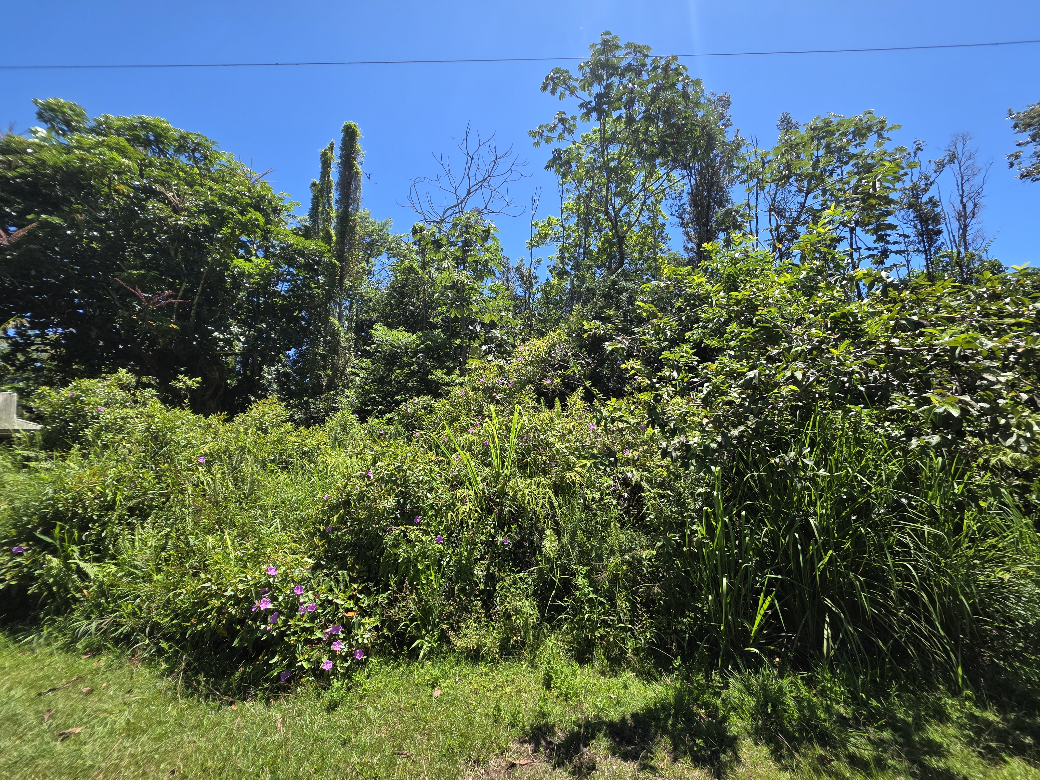 Kumu St Property Photo 2