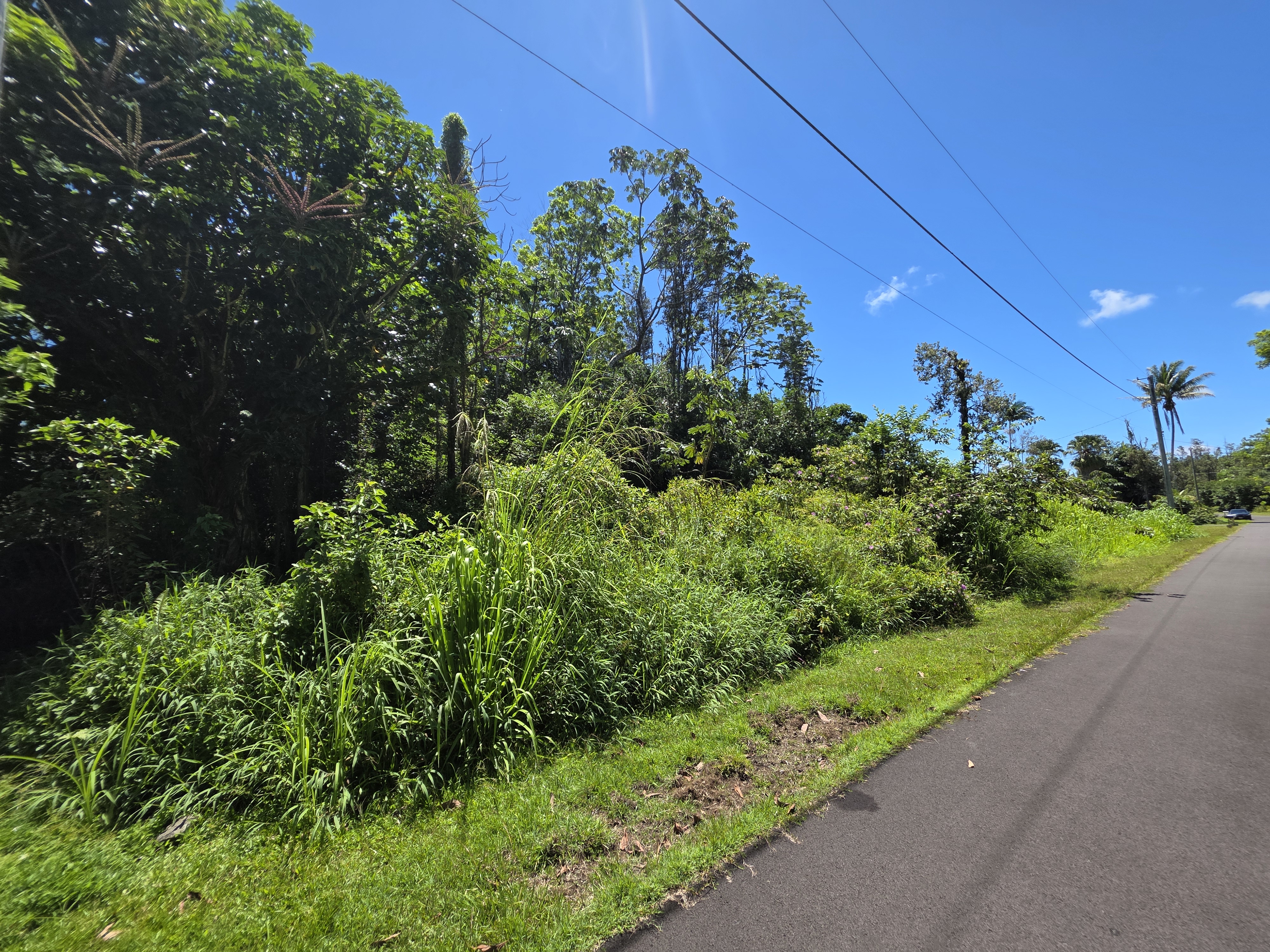 Kumu St Property Photo 3