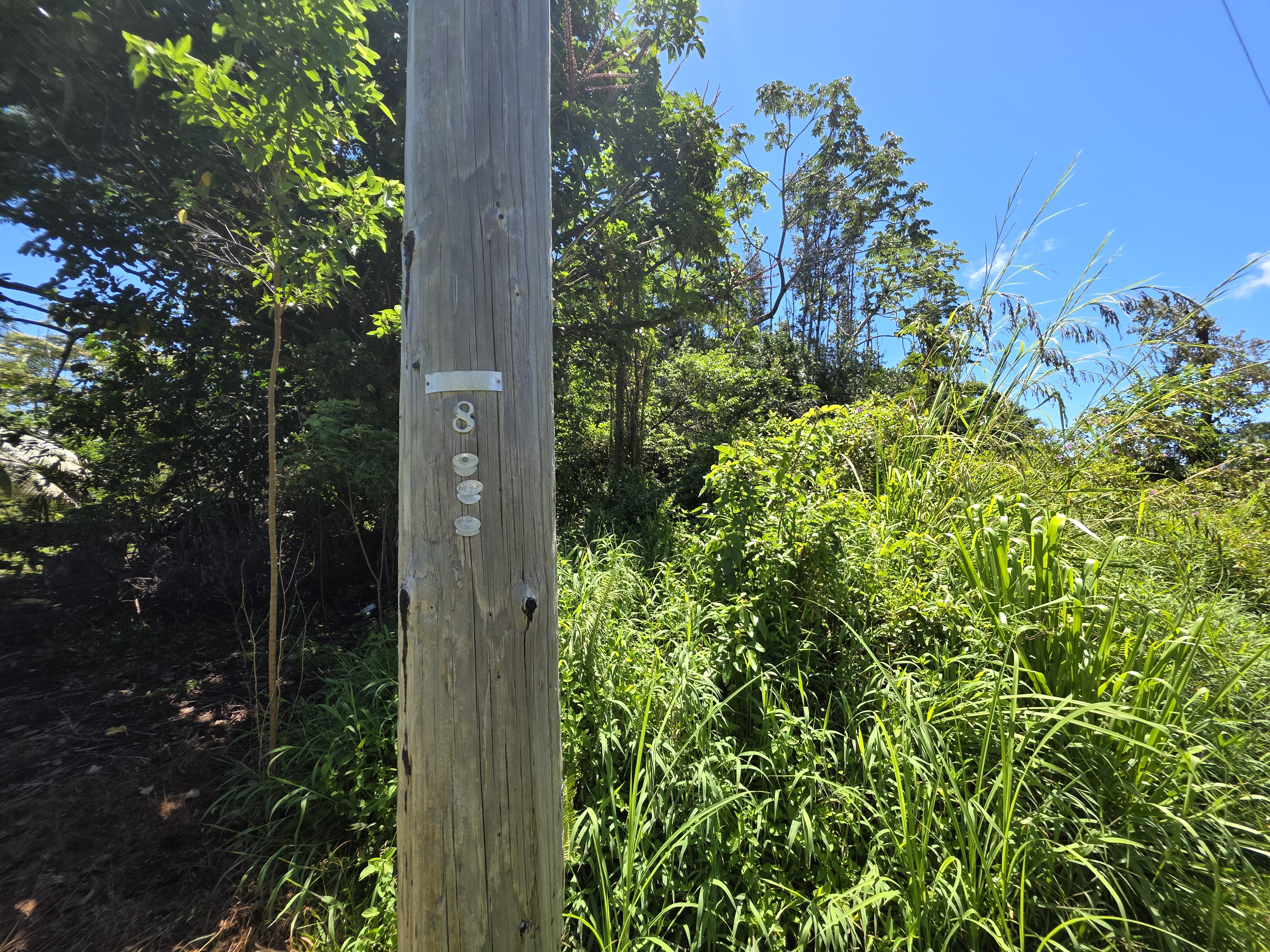 Kumu St Property Photo 4
