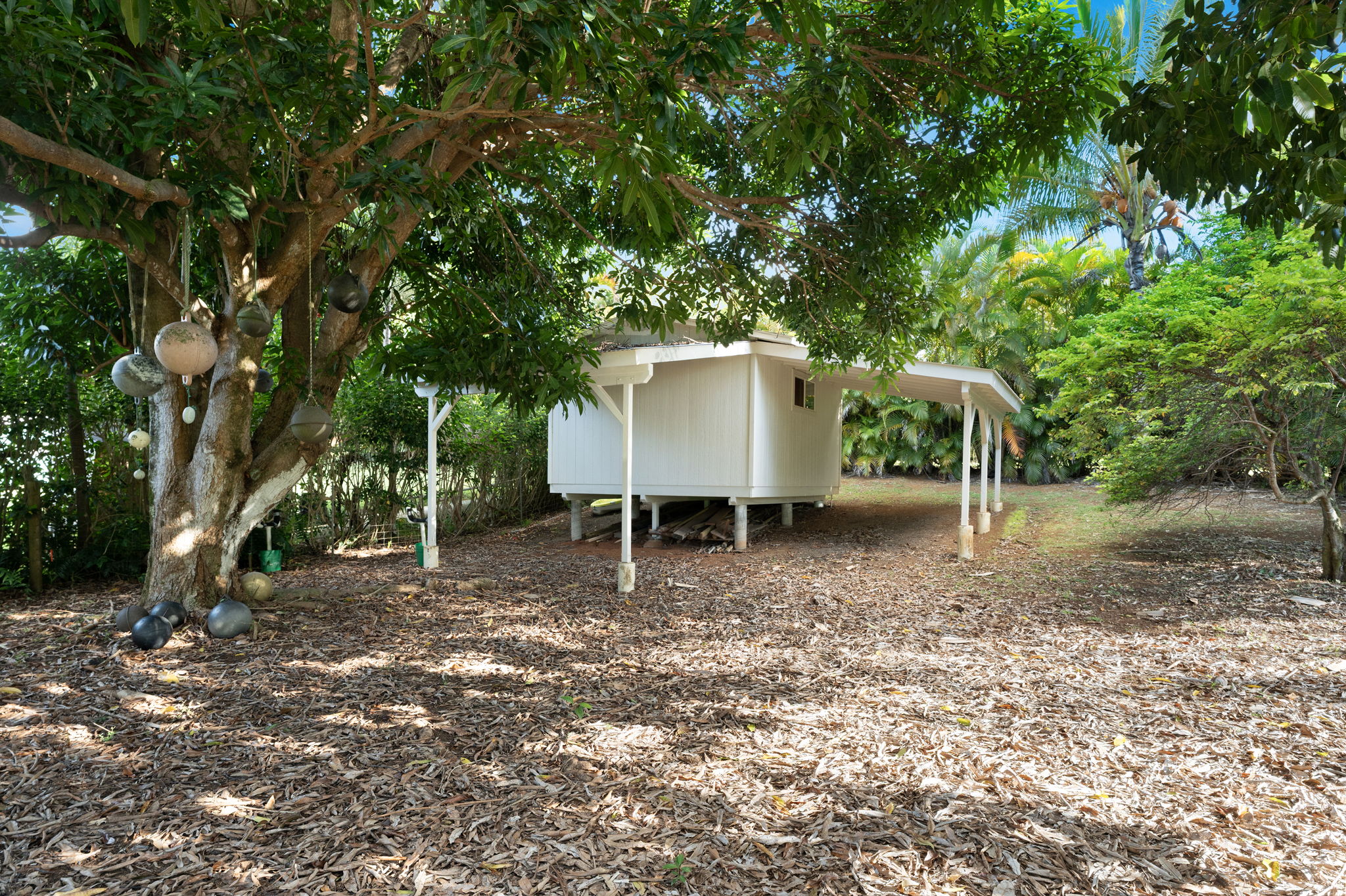 4316-c Kahili Makai St B Property Photo 25