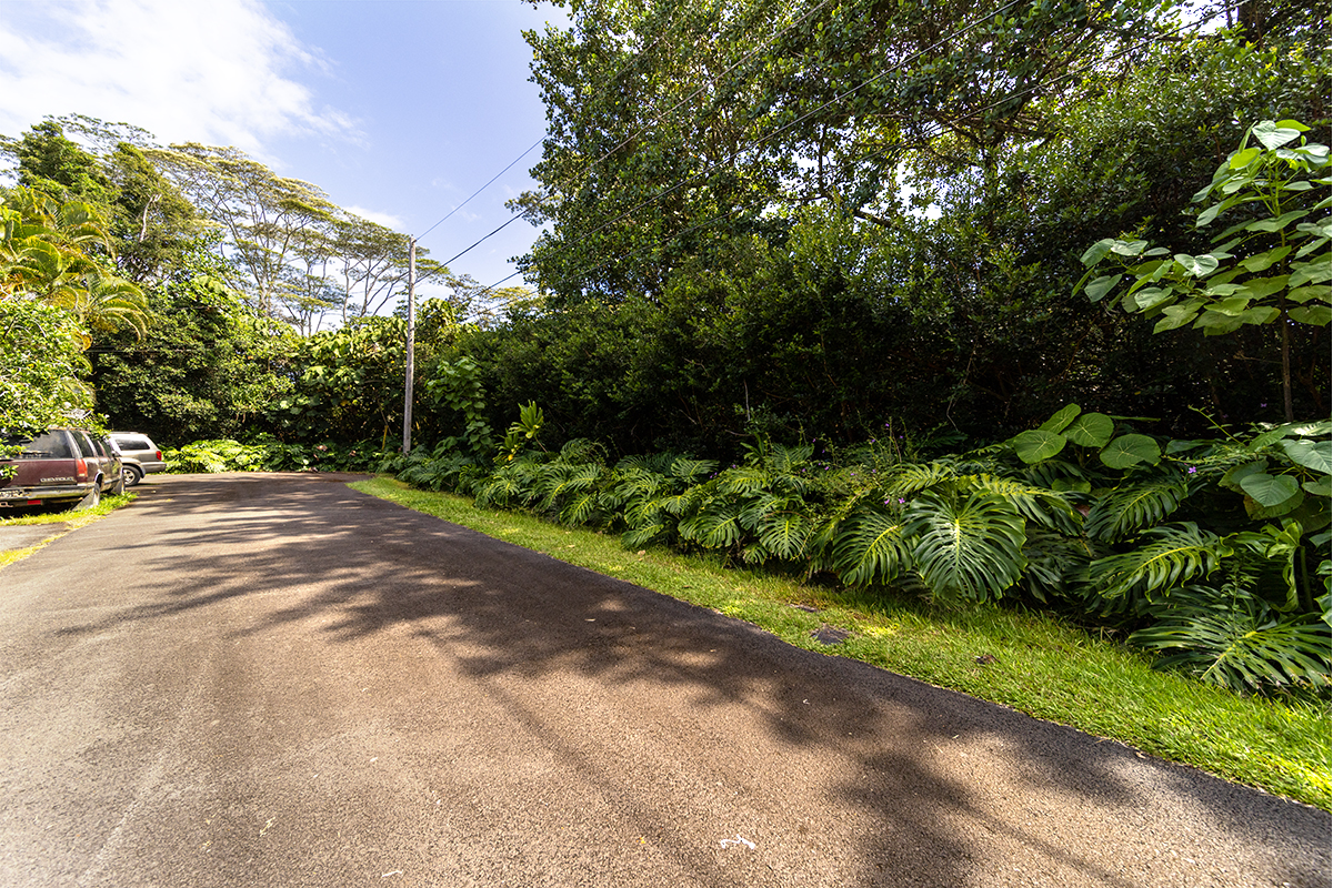 Opakapaka St Property Photo 4