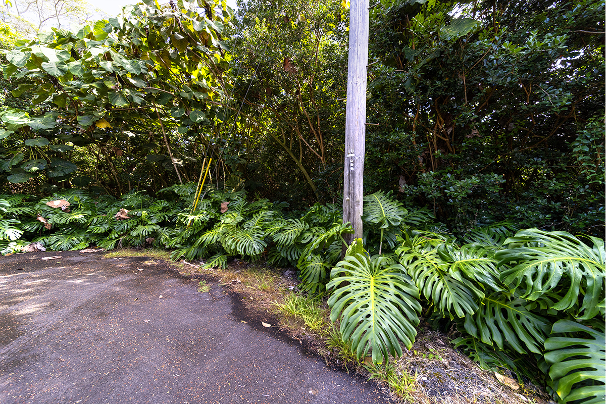 Opakapaka St Property Photo 5