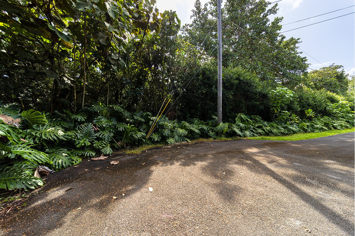 Opakapaka St Property Photo 6