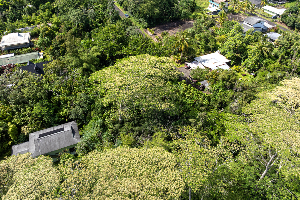 Opakapaka St Property Photo 12