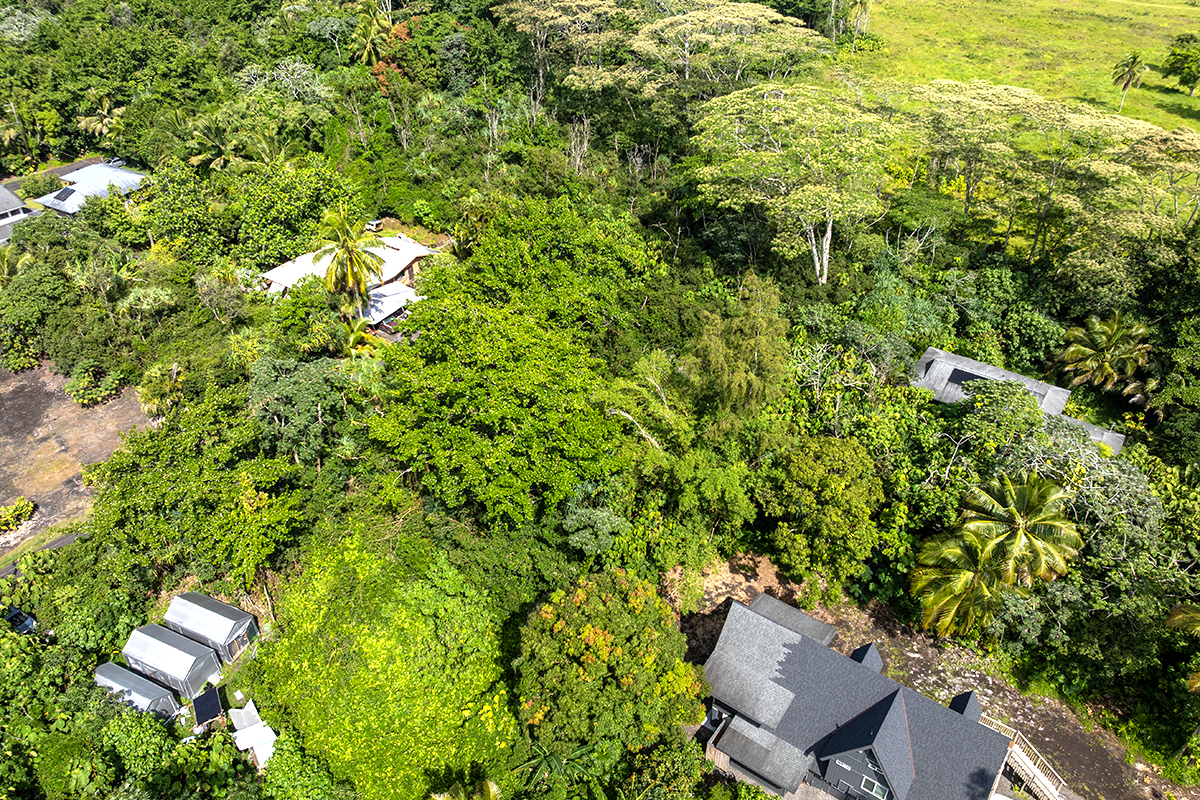 Opakapaka St Property Photo 16