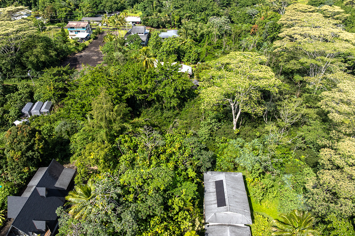 Opakapaka St Property Photo 17