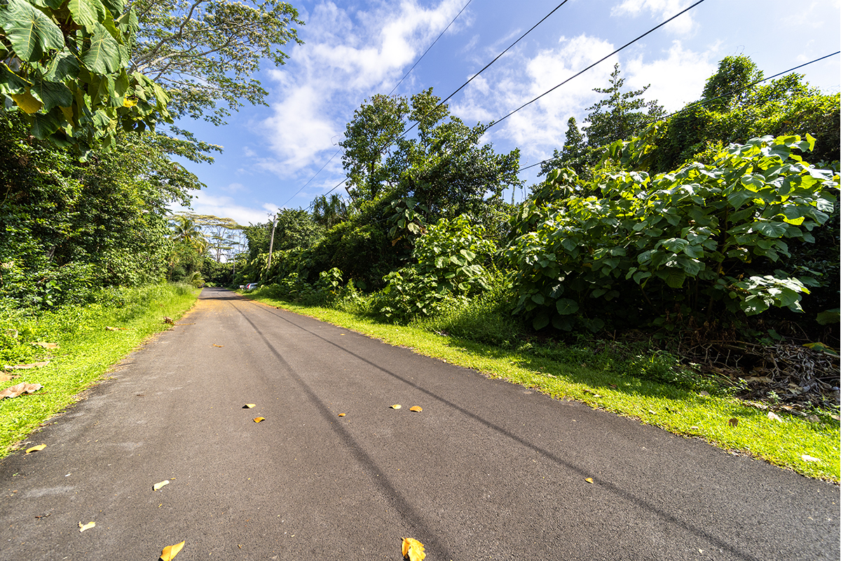 Opakapaka St Property Photo 4