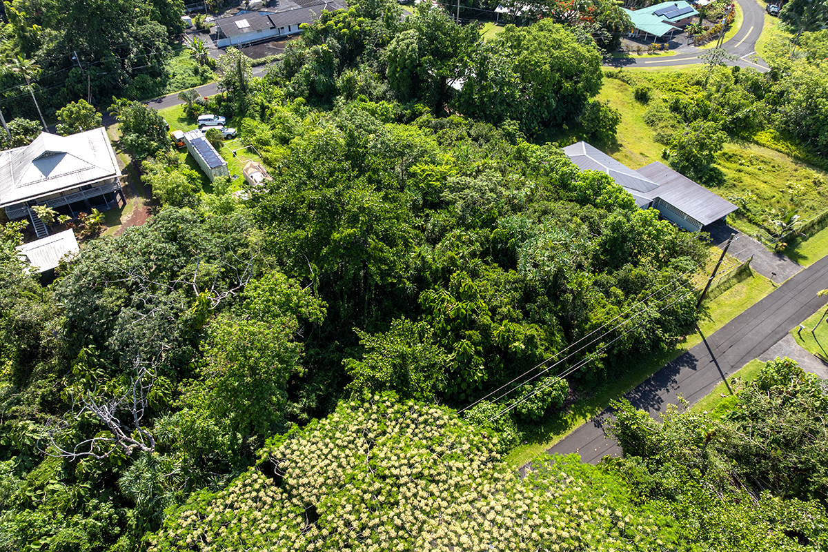 Opakapaka St Property Photo 13