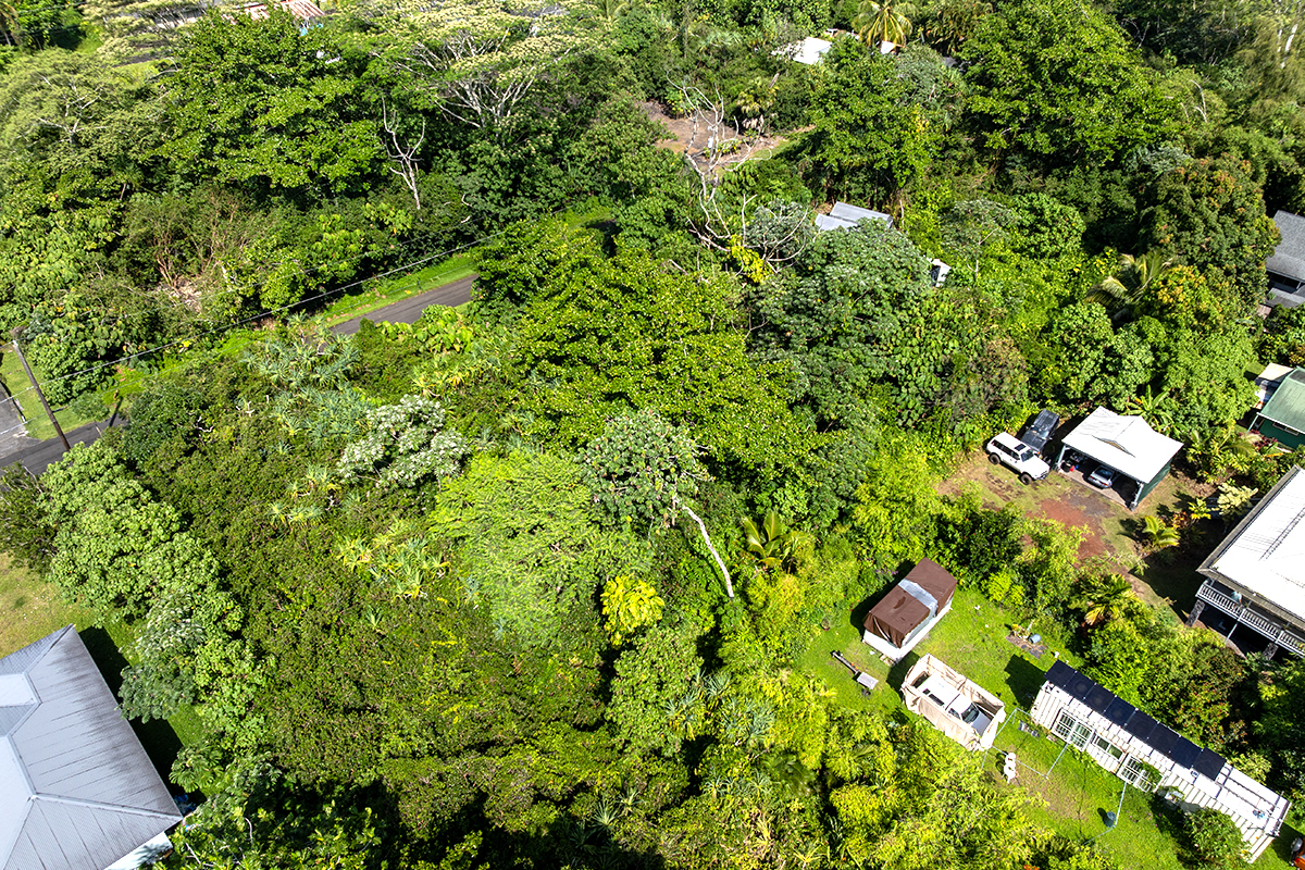 Opakapaka St Property Photo 16