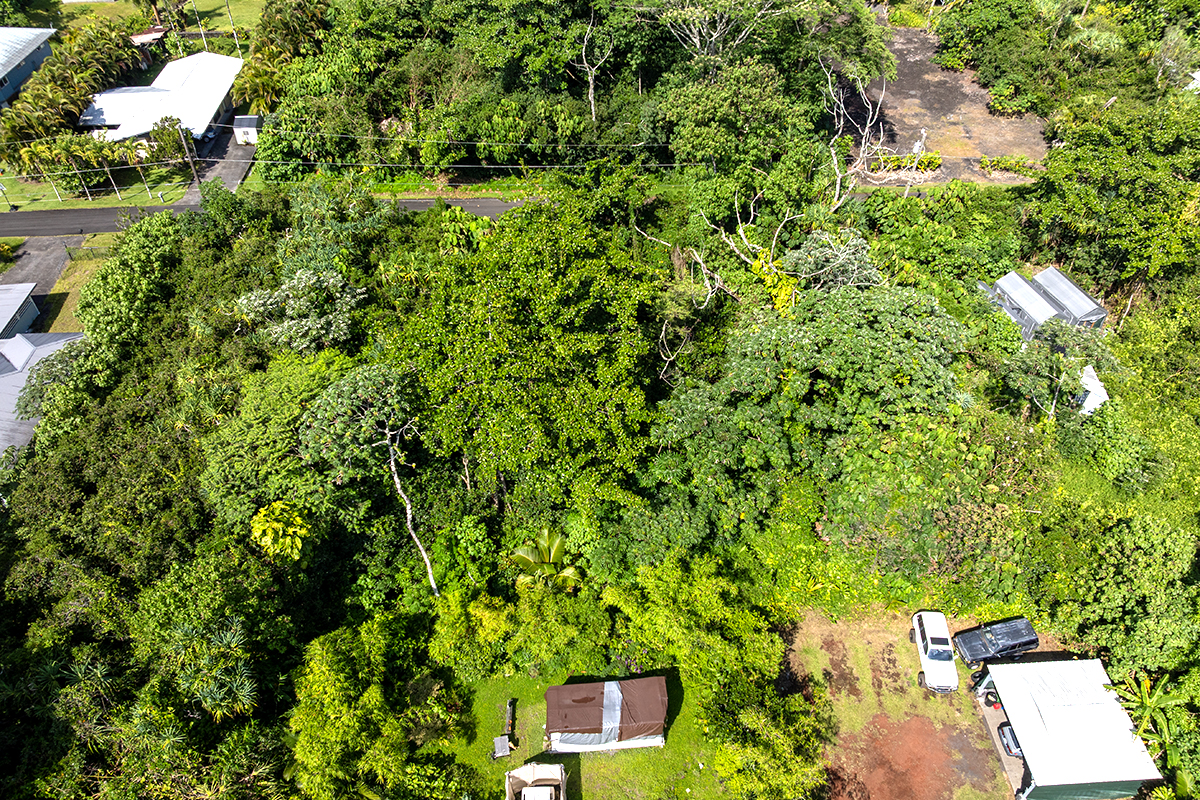 Opakapaka St Property Photo 17