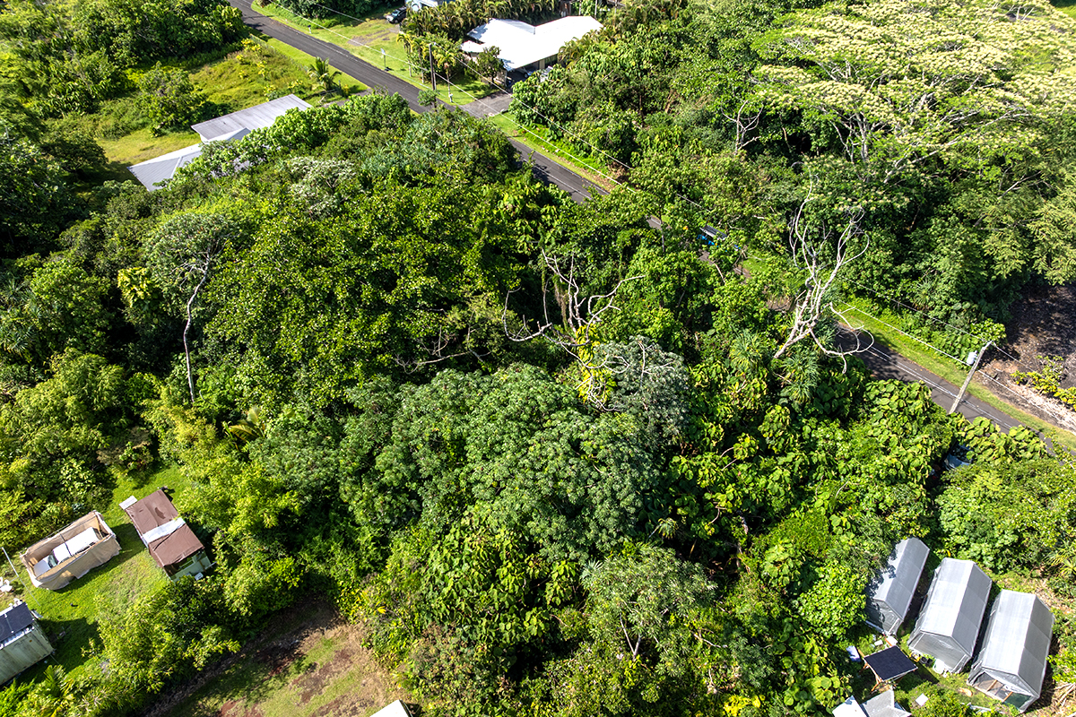 Opakapaka St Property Photo 18