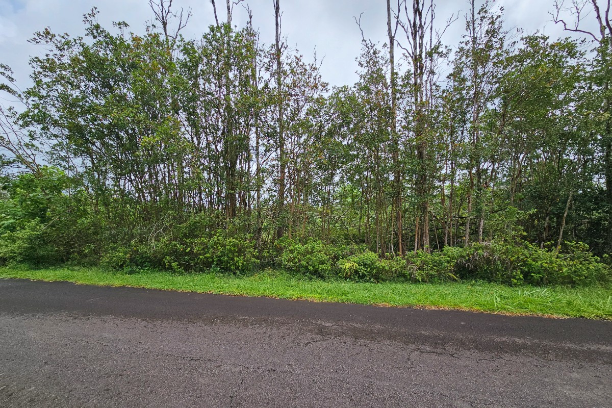 Uilani Dr Lot 6 Property Photo 3