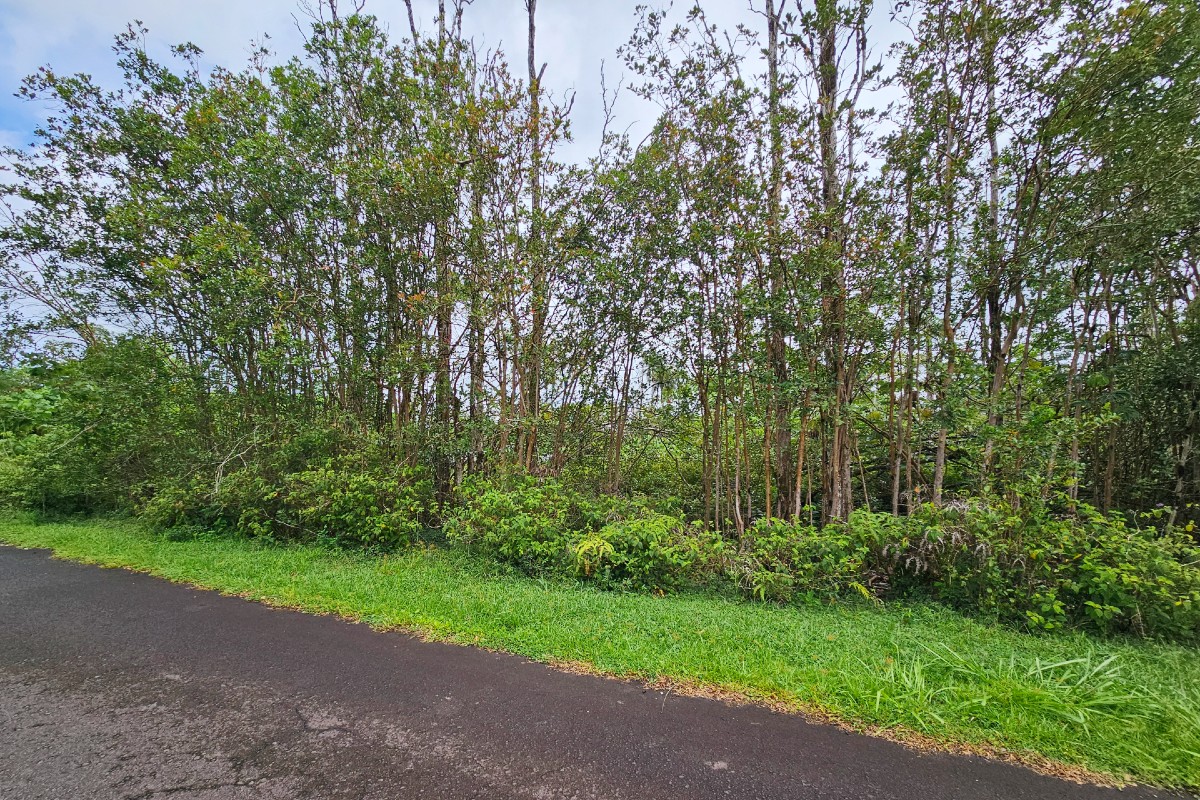 Uilani Dr Lot 6 Property Photo 4