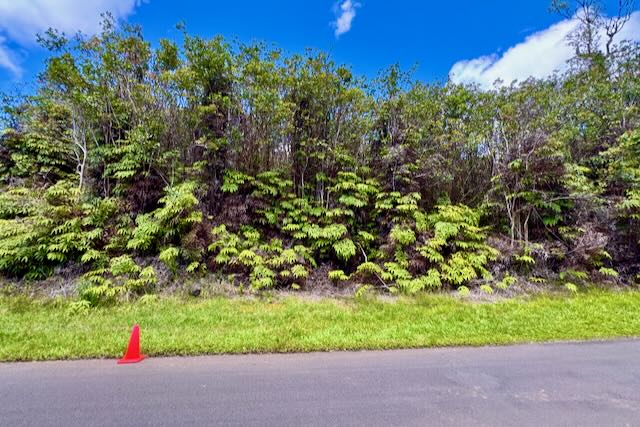 Plumeria St Property Photo 3
