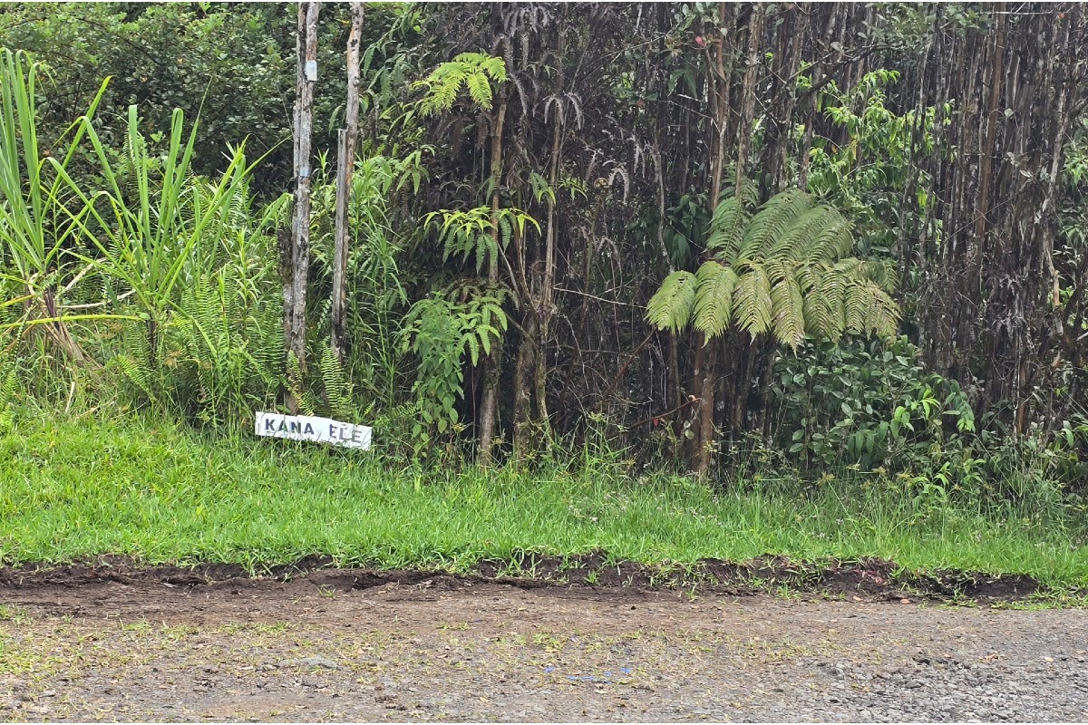 Kanahele Pl Property Photo 2