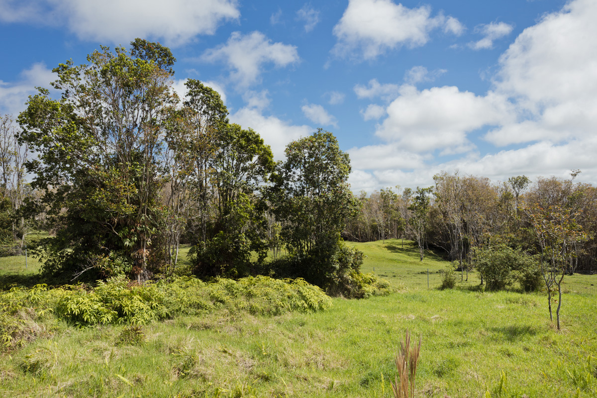18-4278 Luna Ikena Rd Property Photo 30