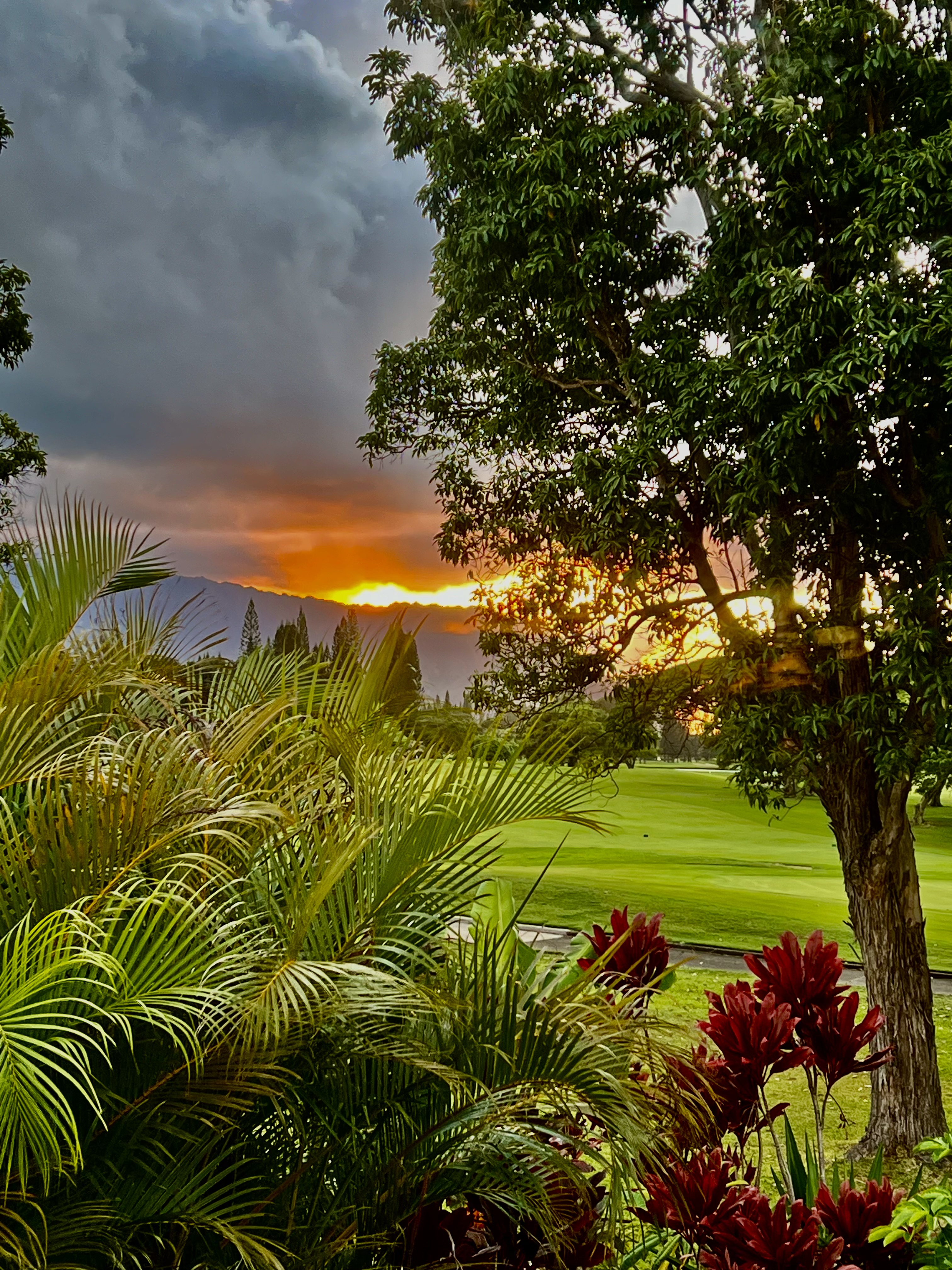 731275 Property Photo 2