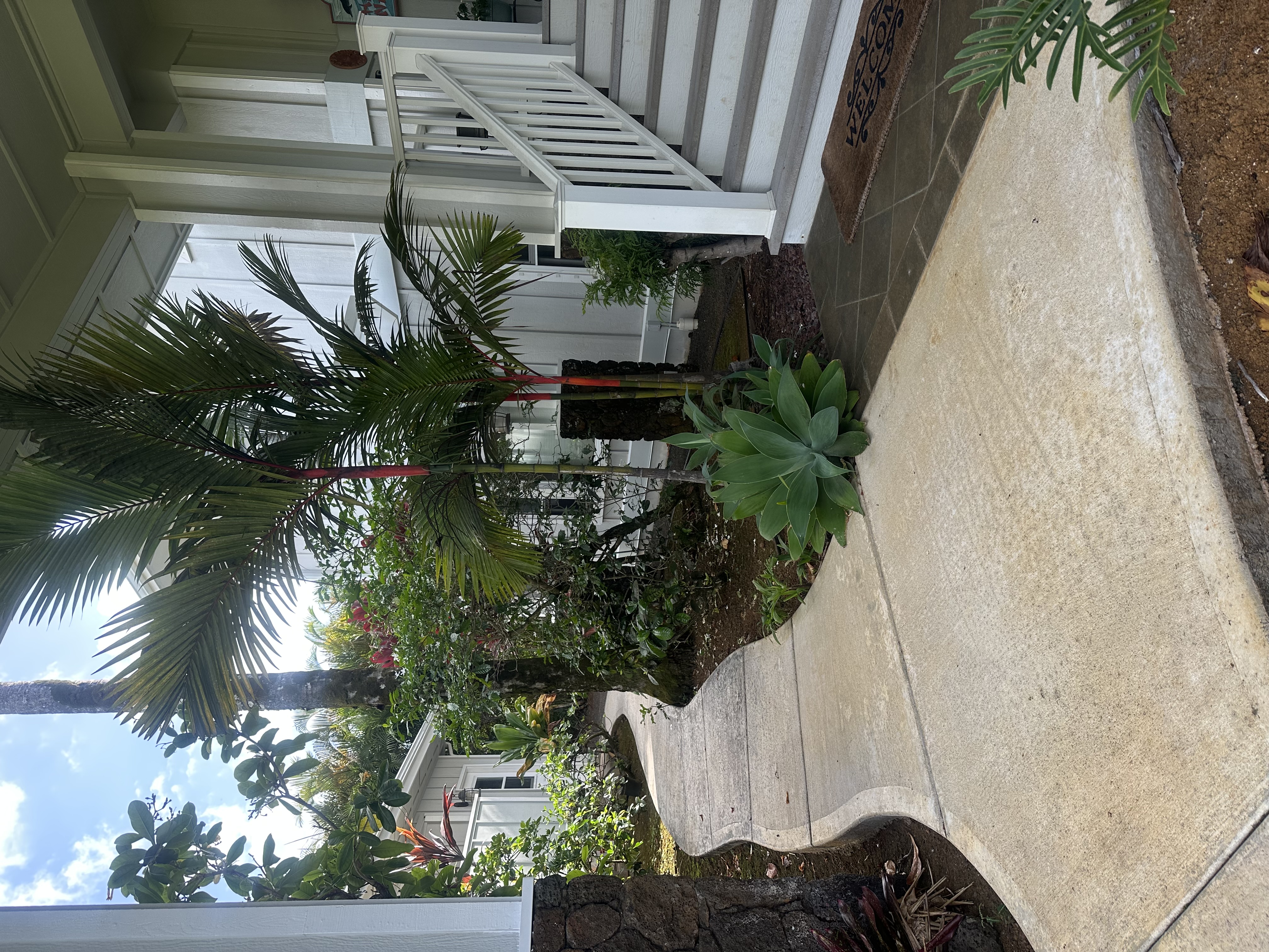 731275 Property Photo 5