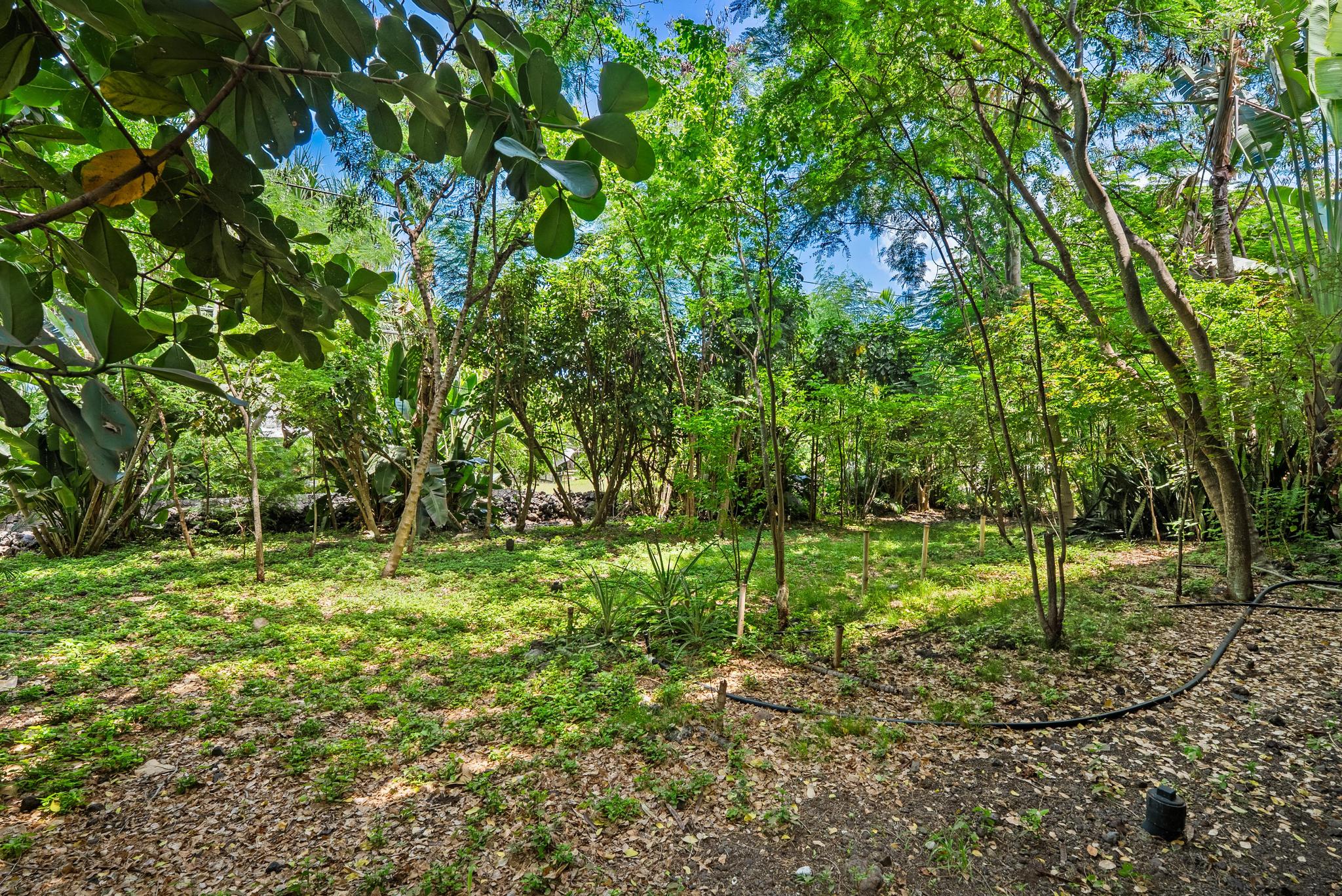 82-6284 Puuhonua Rd Property Photo 23