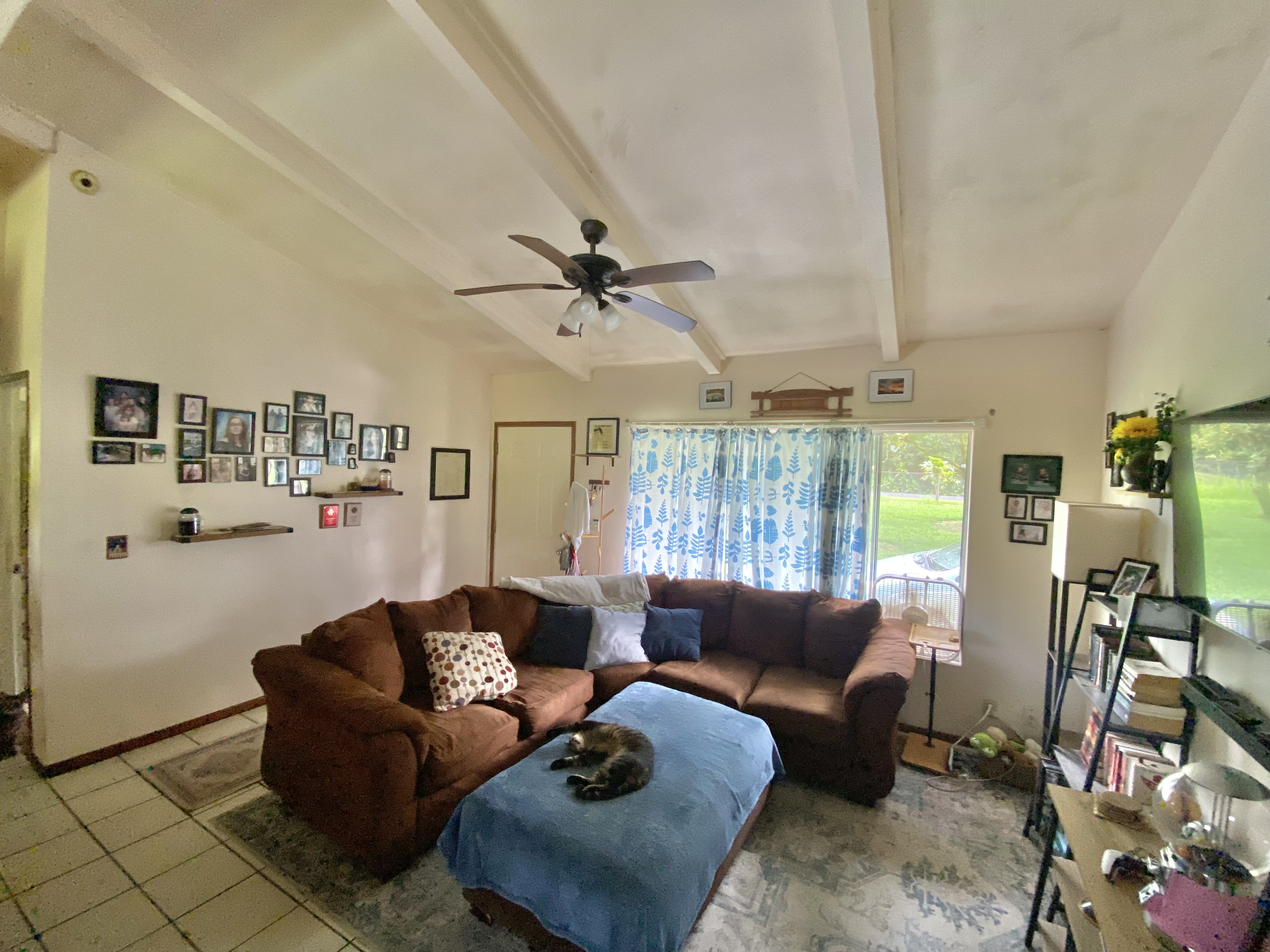 15-1669 21st Ave (mikana) Property Photo 5