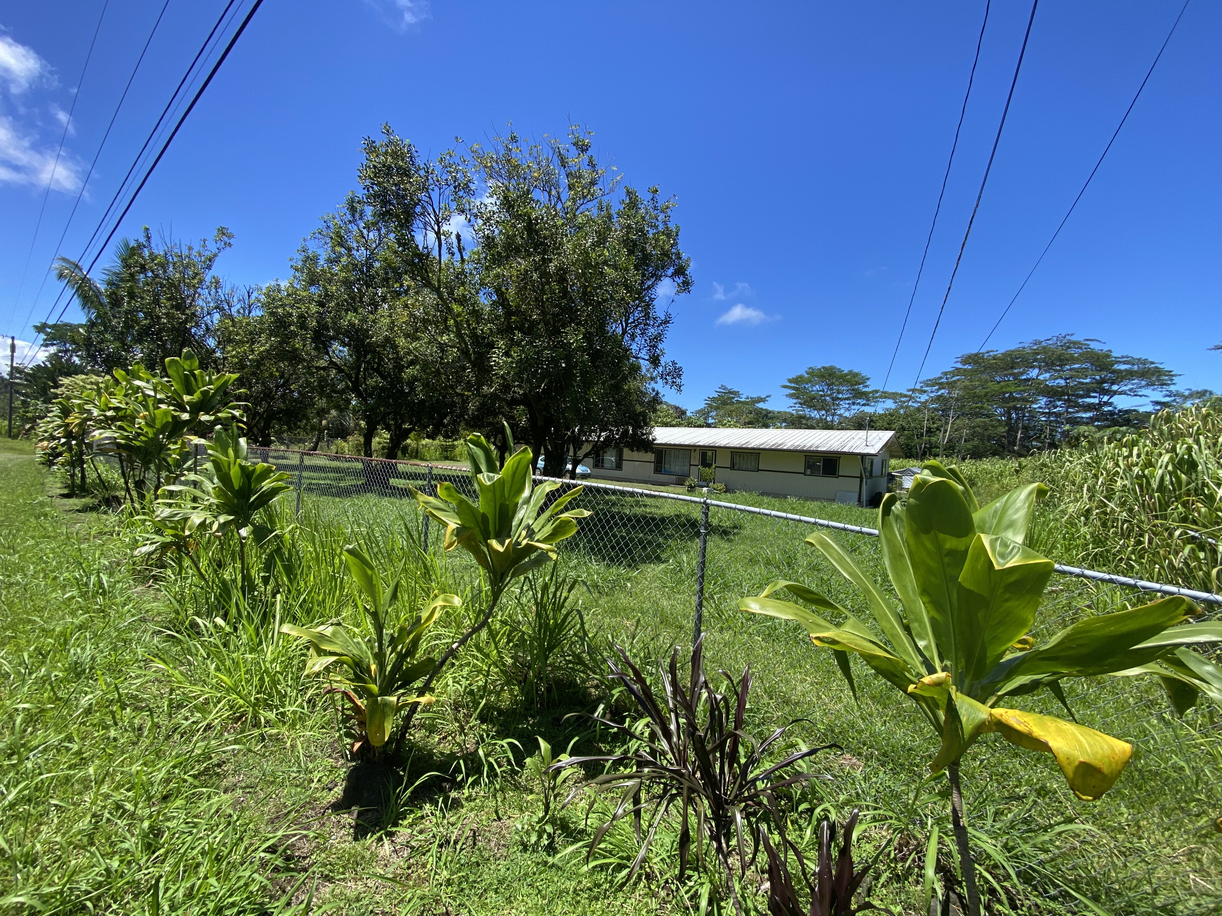 15-1669 21st Ave (mikana) Property Photo 7