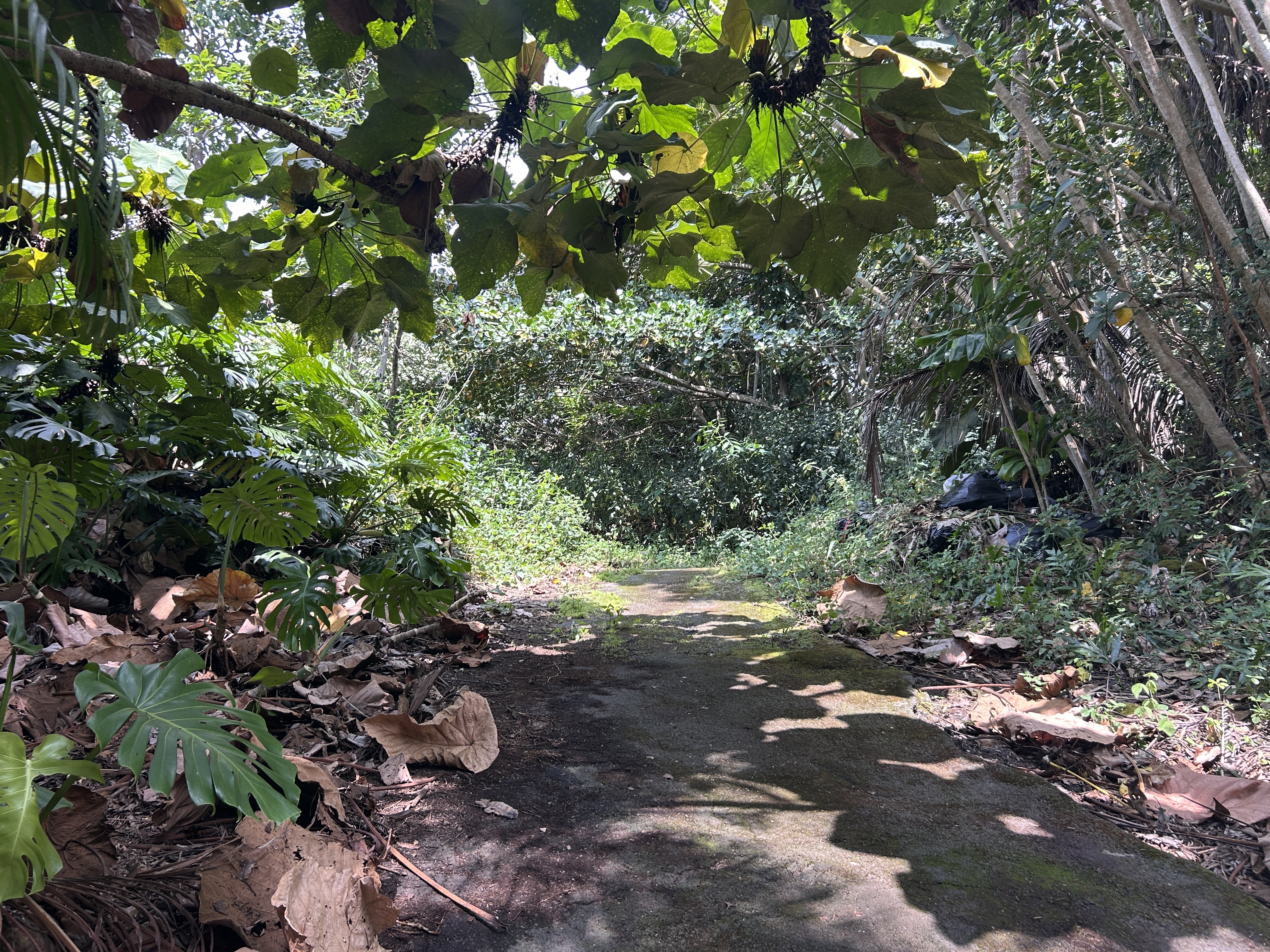 87-2478 Hawaii Belt Rd Property Photo 13
