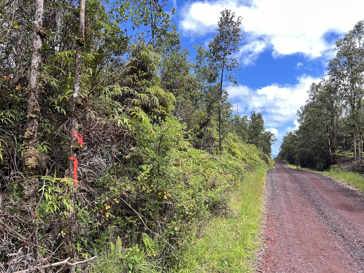 Apele Rd Property Photo 7