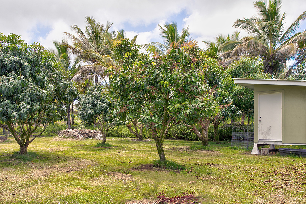 14-4196 Pahoa Kapoho Rd Property Photo 27
