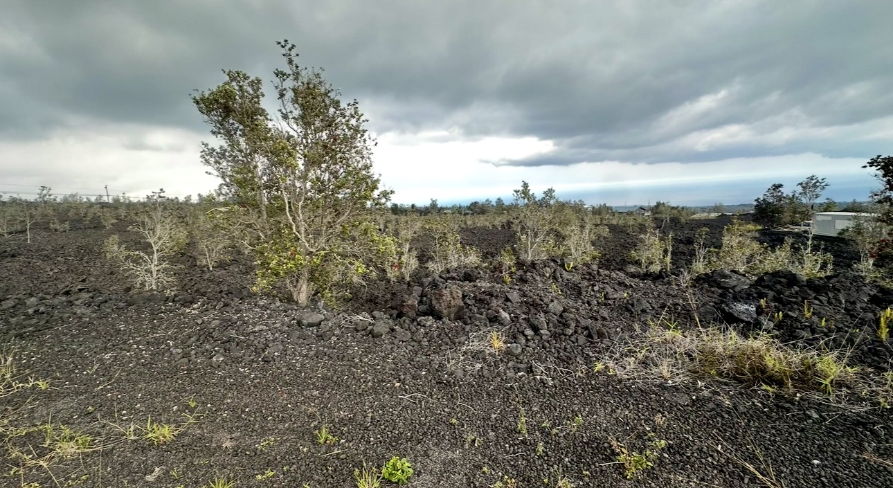 Aloha Blvd Property Photo 5