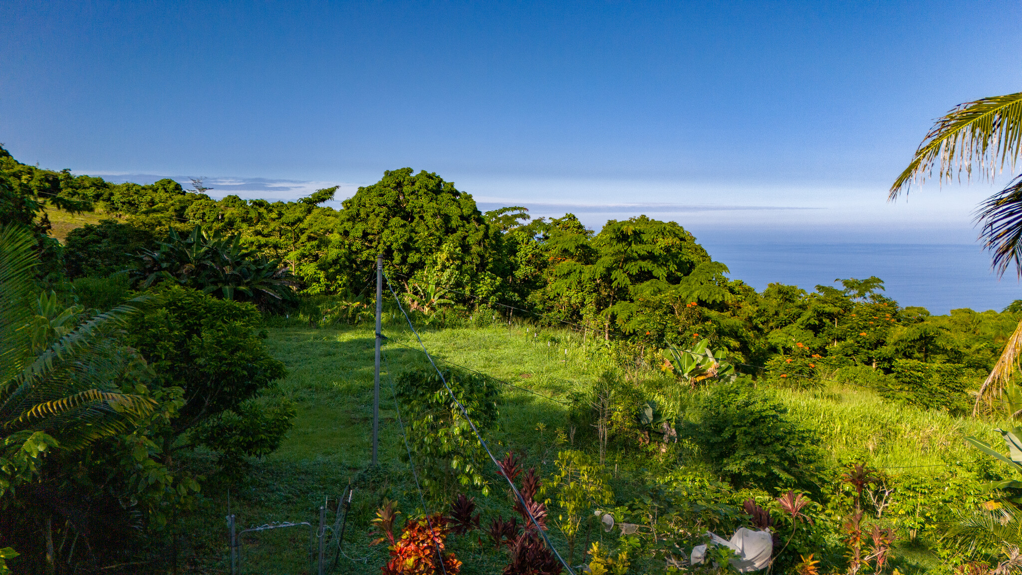 87-493 Kaohe Mauka Rd Property Photo 23
