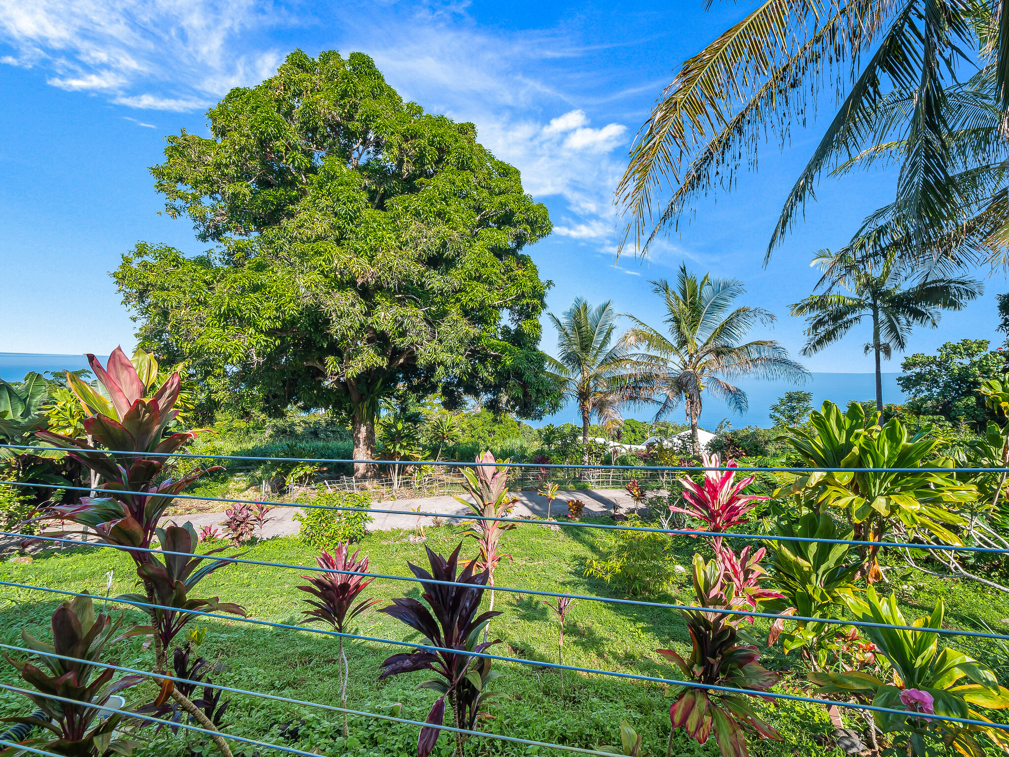 87-493 Kaohe Mauka Rd Property Photo 27