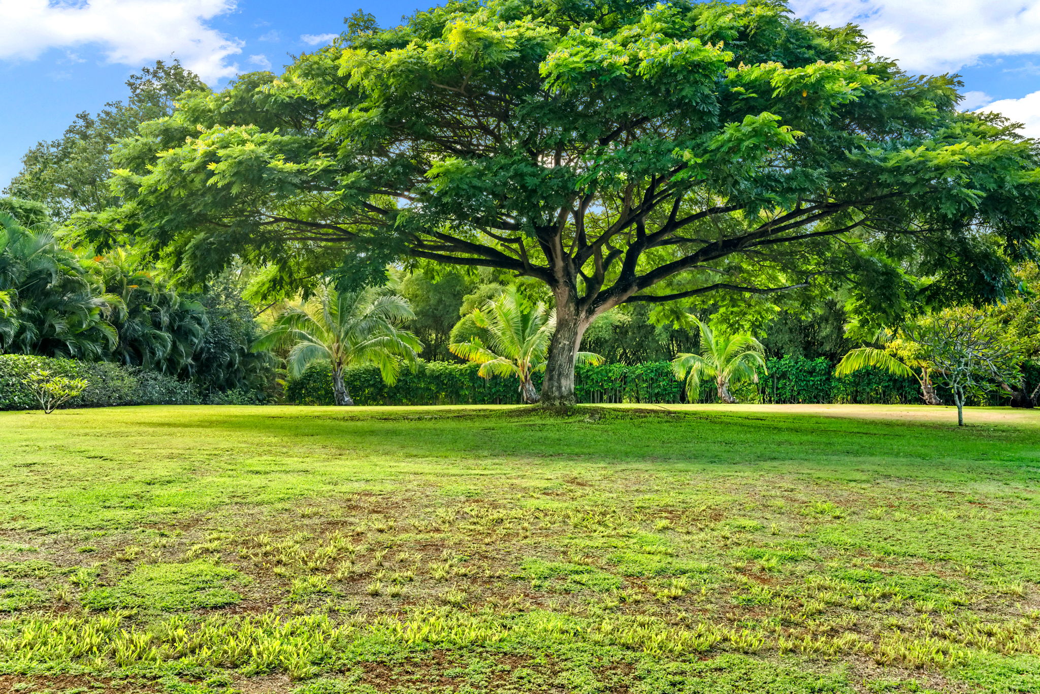 7761 Koolau Rd 2 Property Photo 5