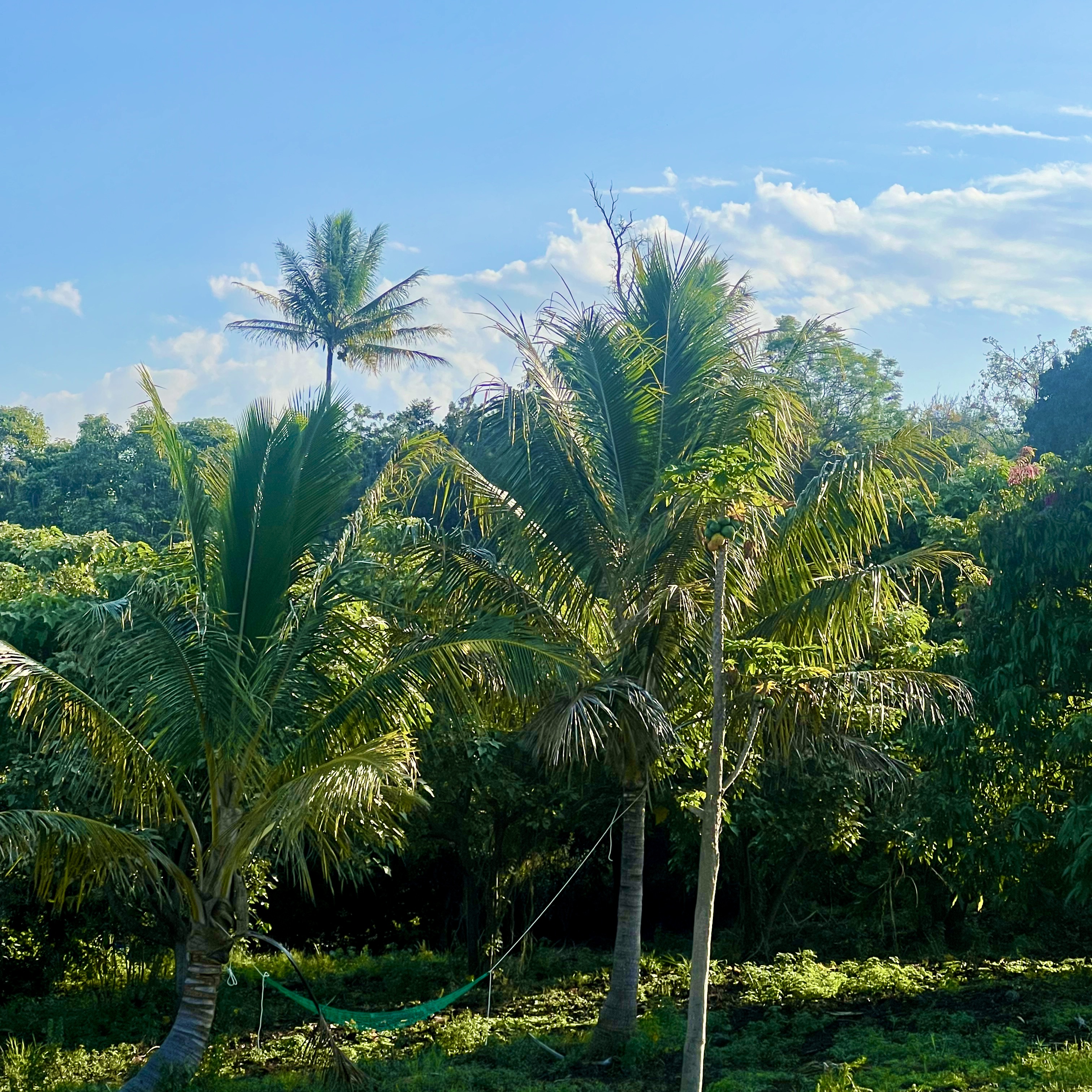 89-843 Pohulai Road Property Photo 4
