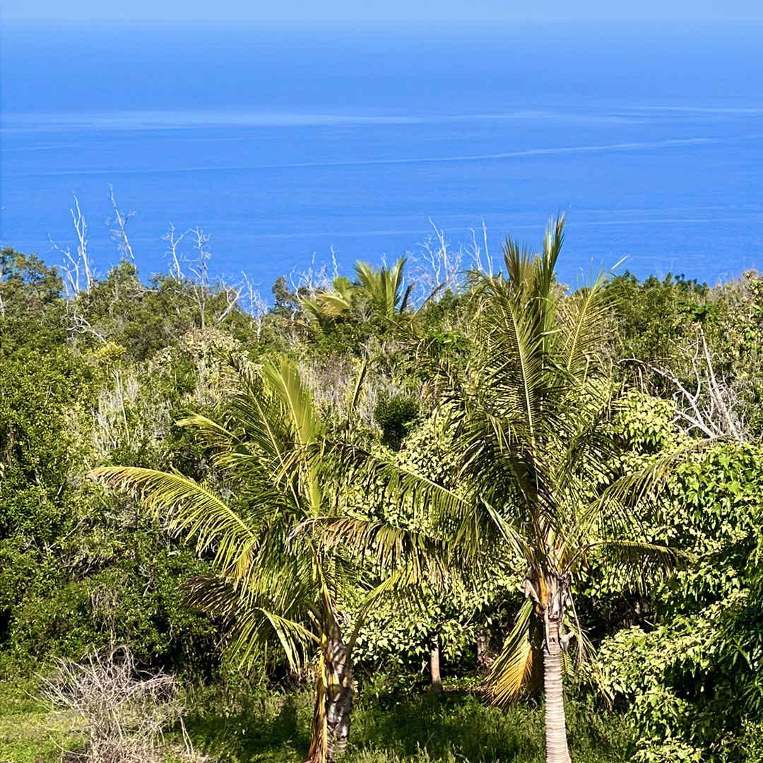 89-843 Pohulai Road Property Photo 23