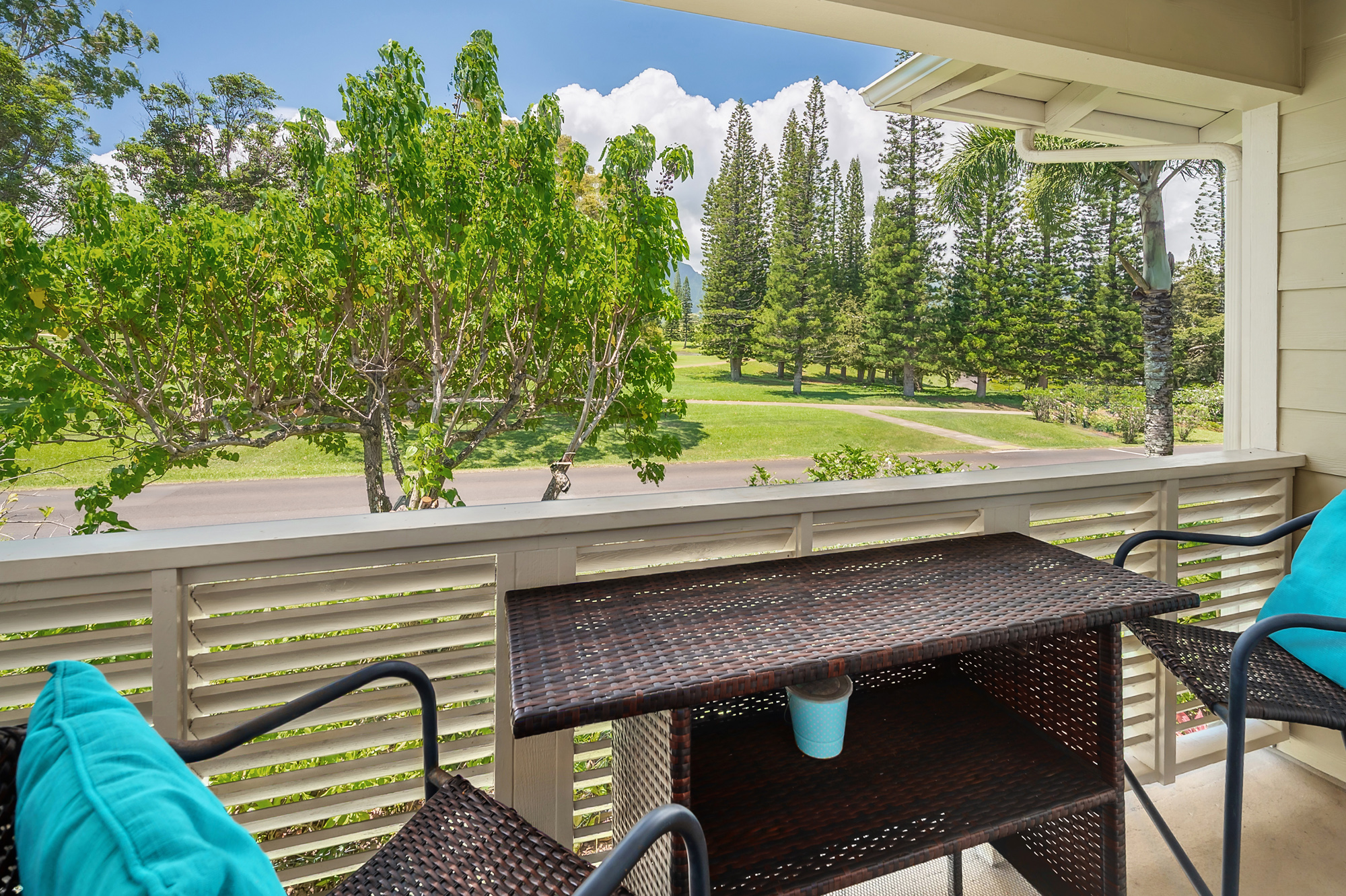 4919 Pepelani Lp 20b Property Photo 11
