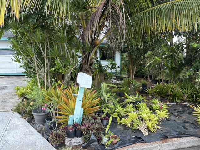 5686 Kei Pl Property Photo 3
