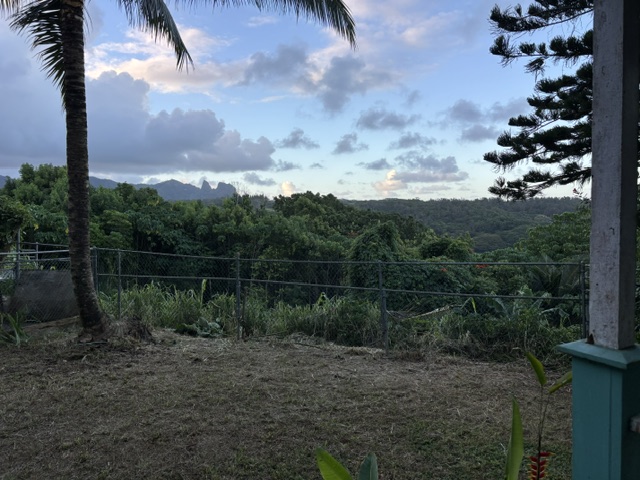 5686 Kei Pl Property Photo 4