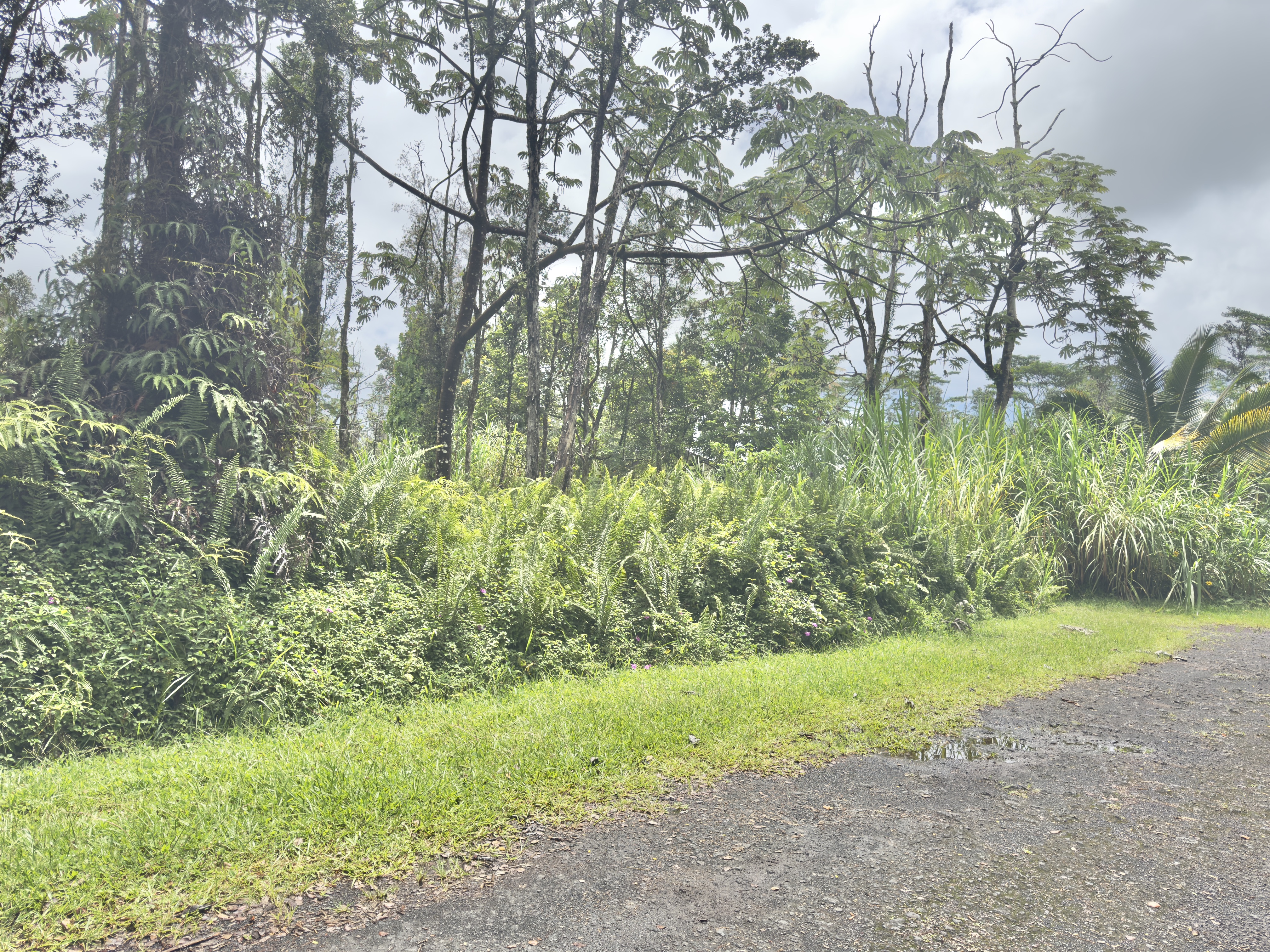 3553 Pikake Rd Property Photo 11